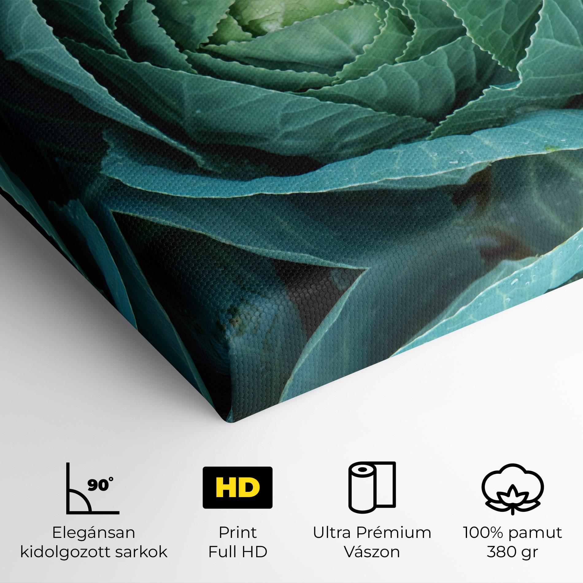 Vászonkép Blue Lettuce mockup 4
