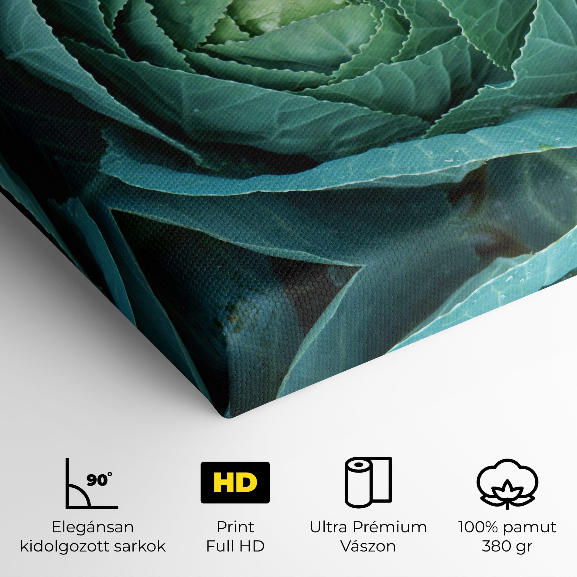 Blue Lettuce mockup 4