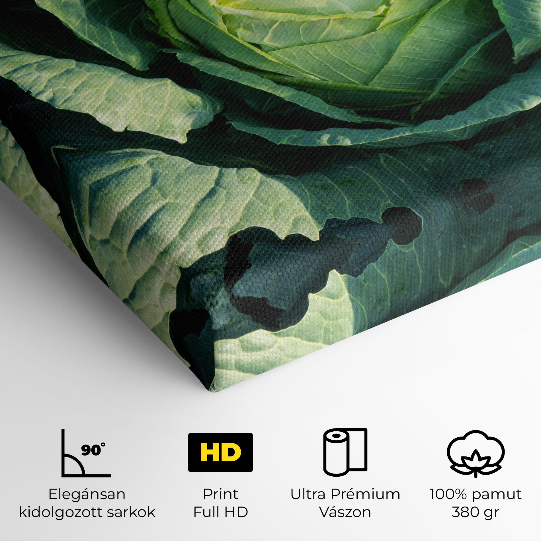 Vászonkép Green Lettuce mockup 4
