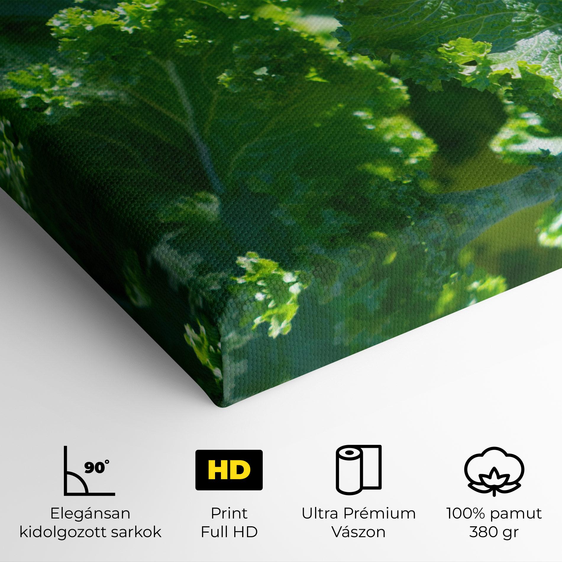 Vászonkép Lettuce View mockup 4