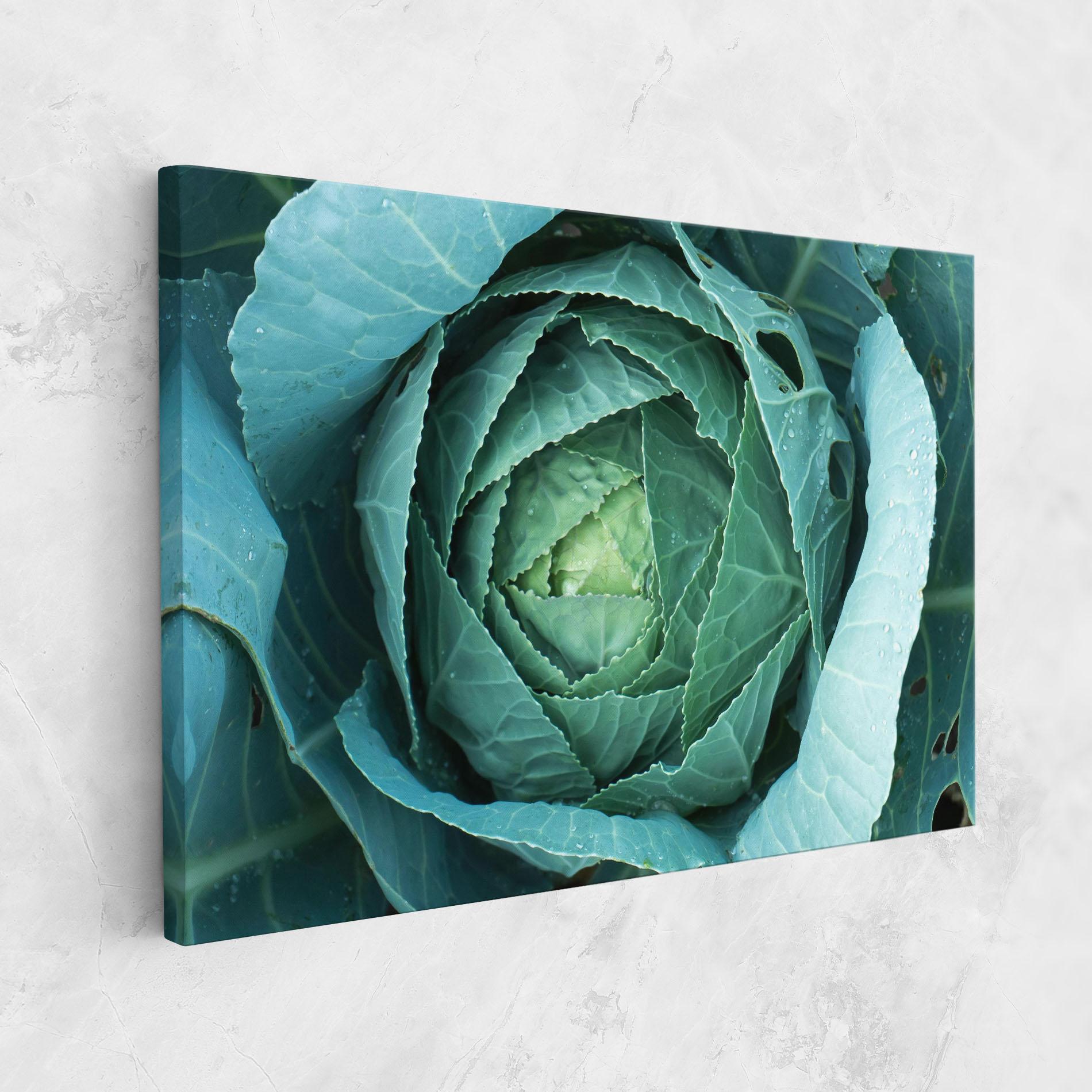 Vászonkép Blue Lettuce mockup 1