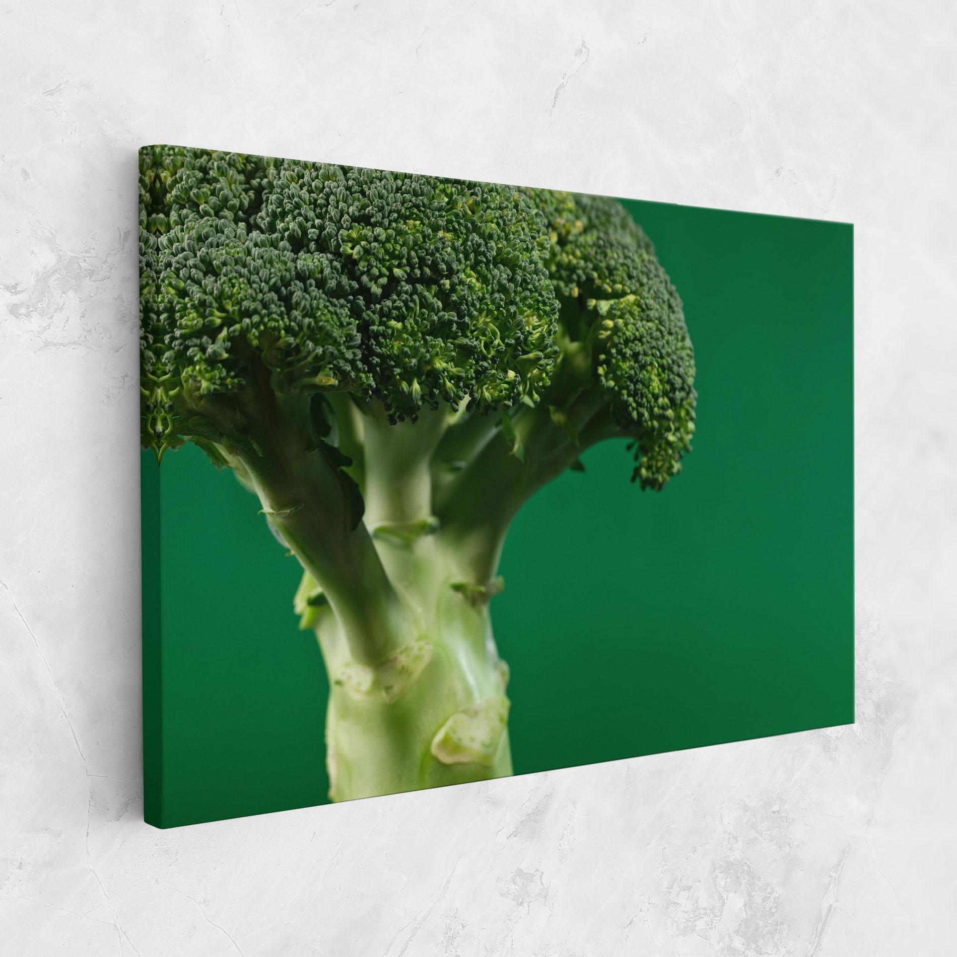 Vászonkép Broccoli mockup 1