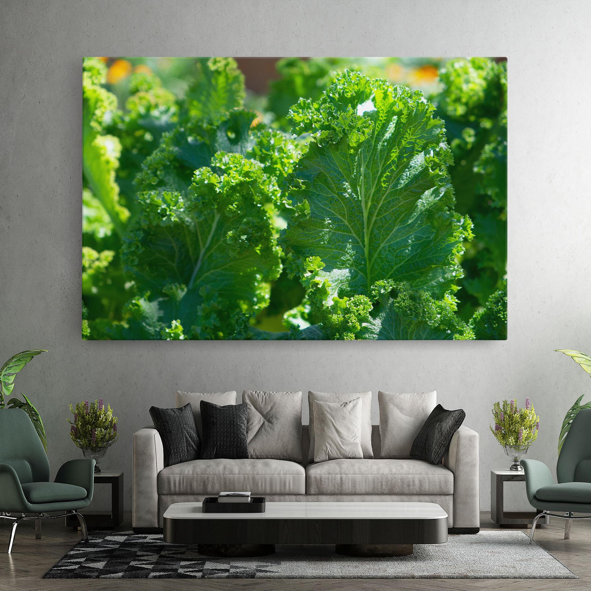 Vászonkép Lettuce View mockup 7