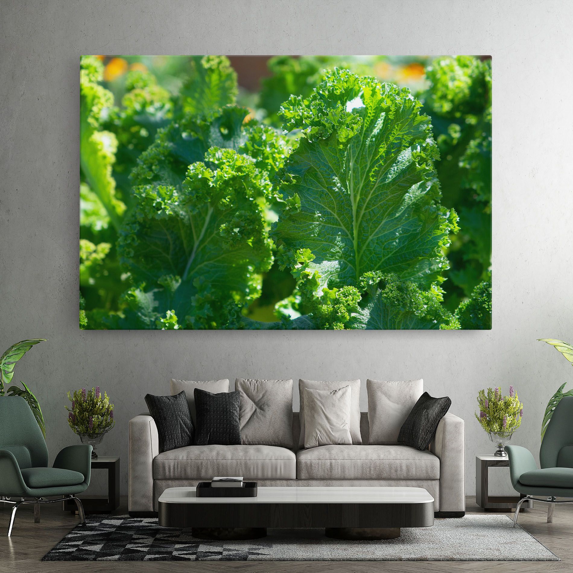 Lettuce View mockup 7