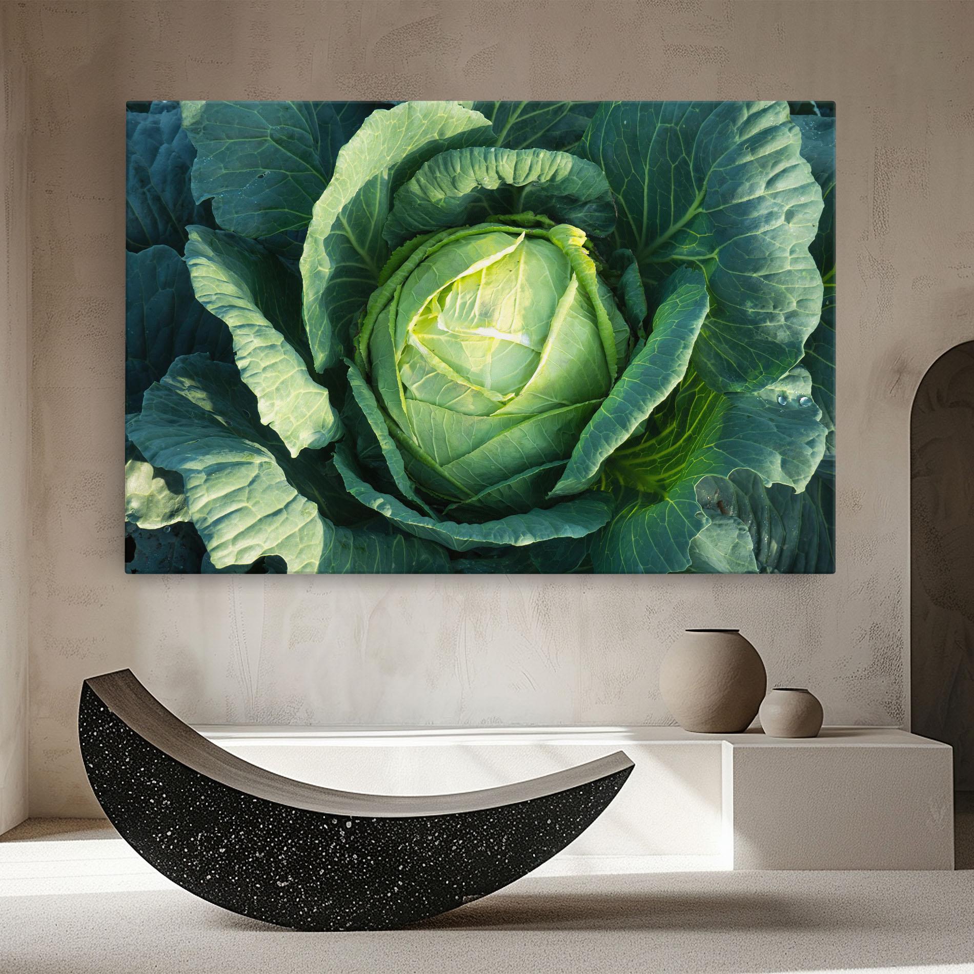 Vászonkép Green Lettuce mockup 8