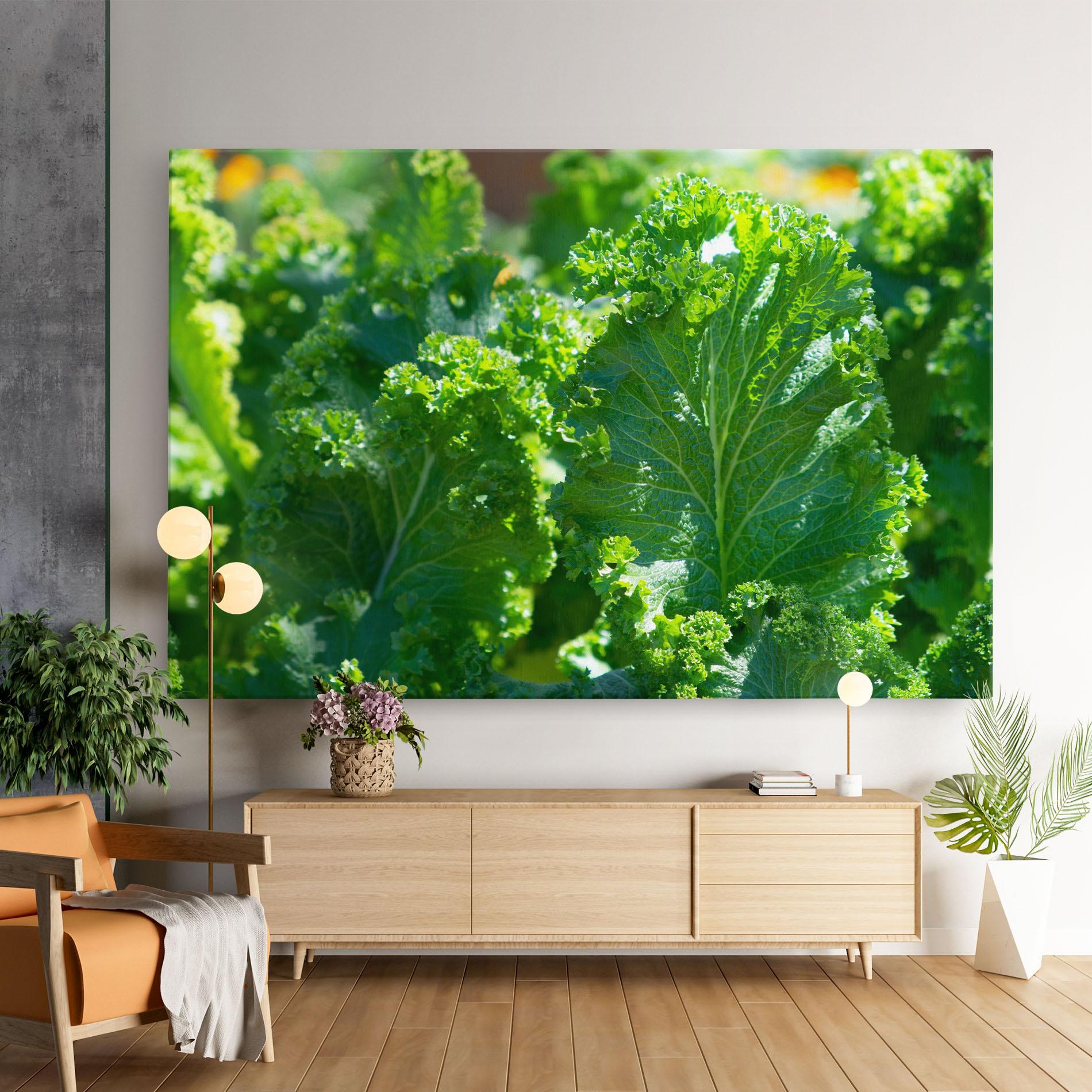Vászonkép Lettuce View mockup 9