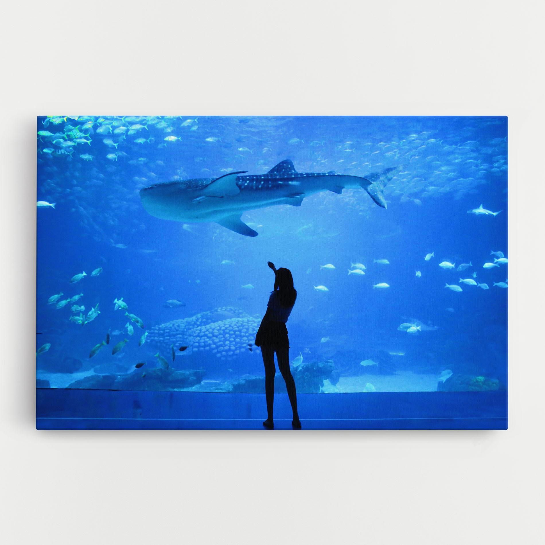 Vászonkép Aquarium Girl mockup 0