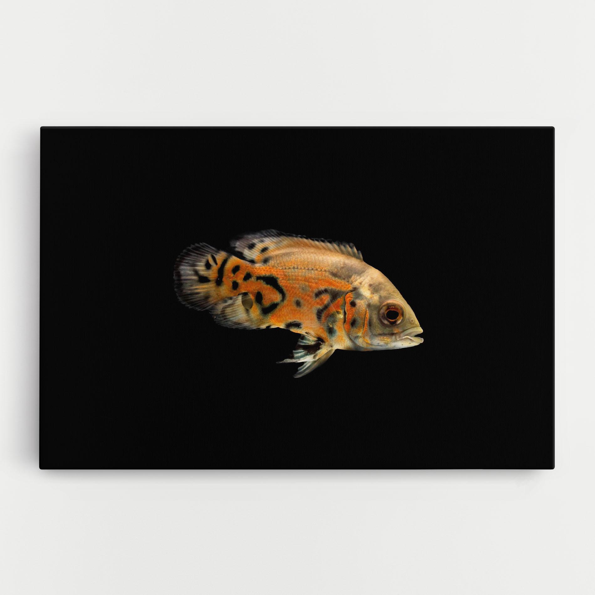 Vászonkép Cute Brown Fish mockup 0