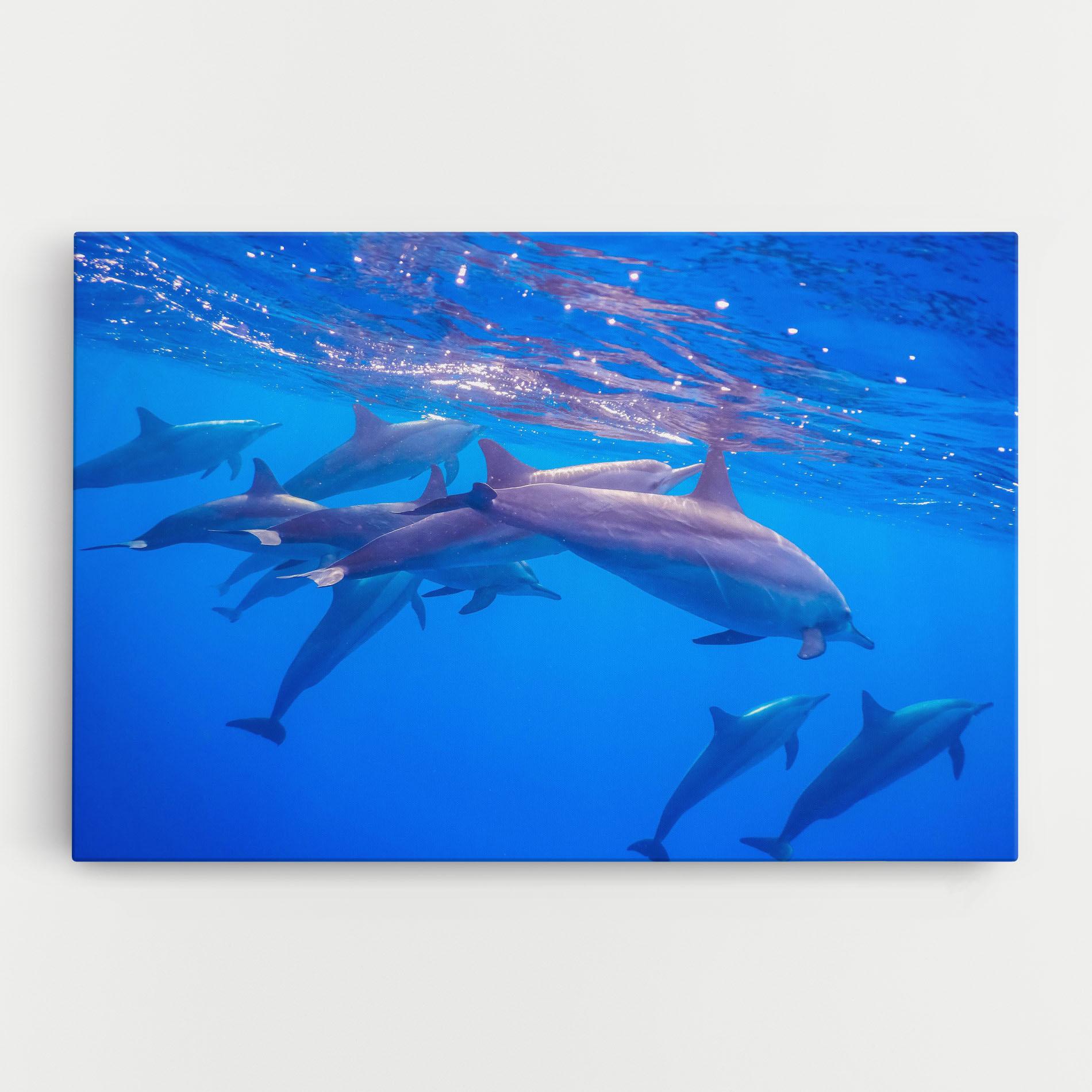 Vászonkép Dolphin Family mockup 0