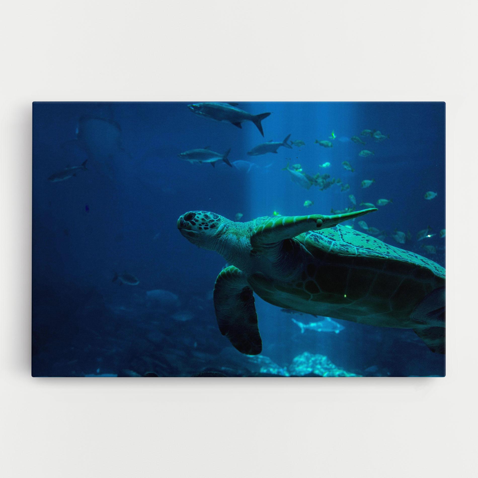 Vászonkép Green Turtule mockup 0