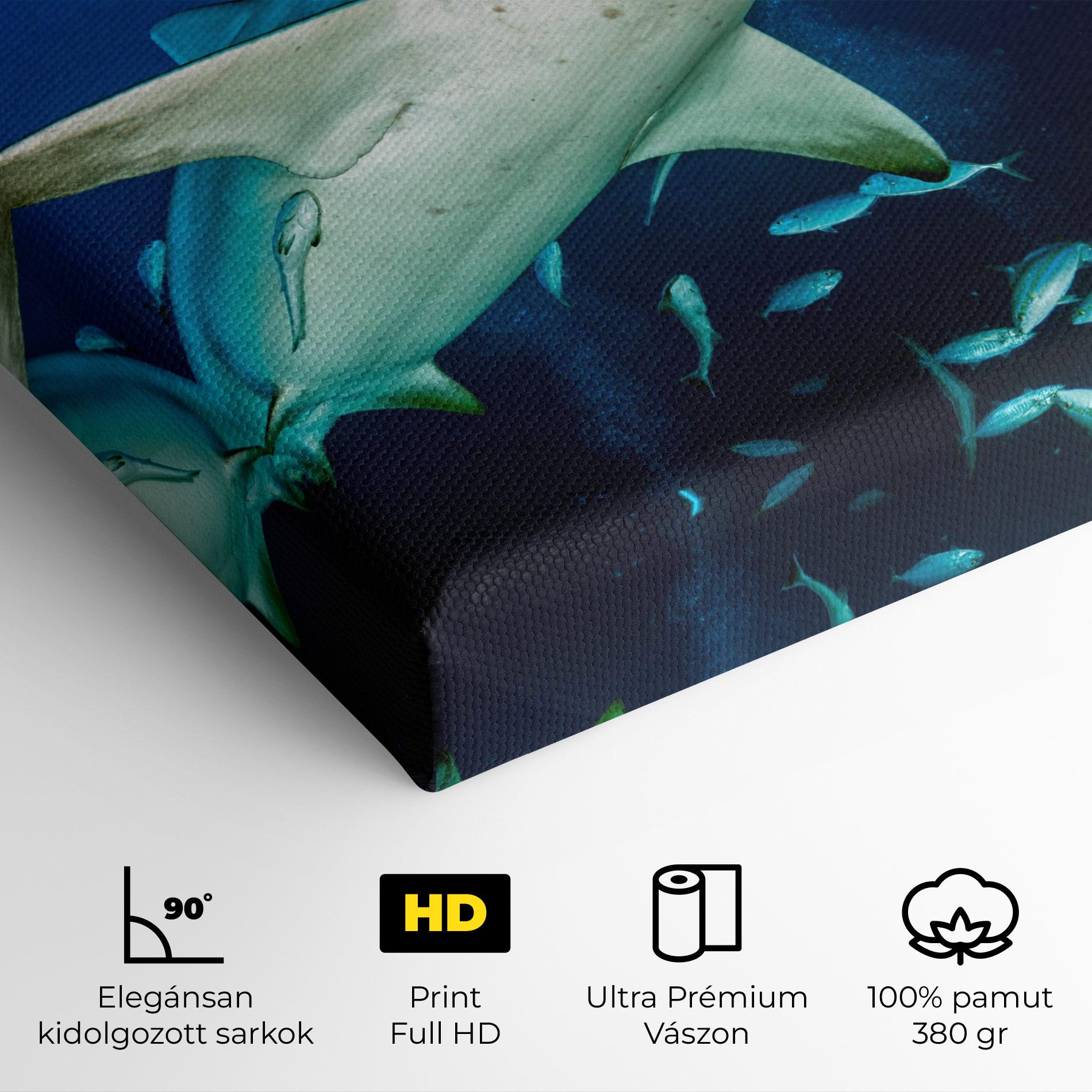 Vászonkép Bull Shark mockup 4
