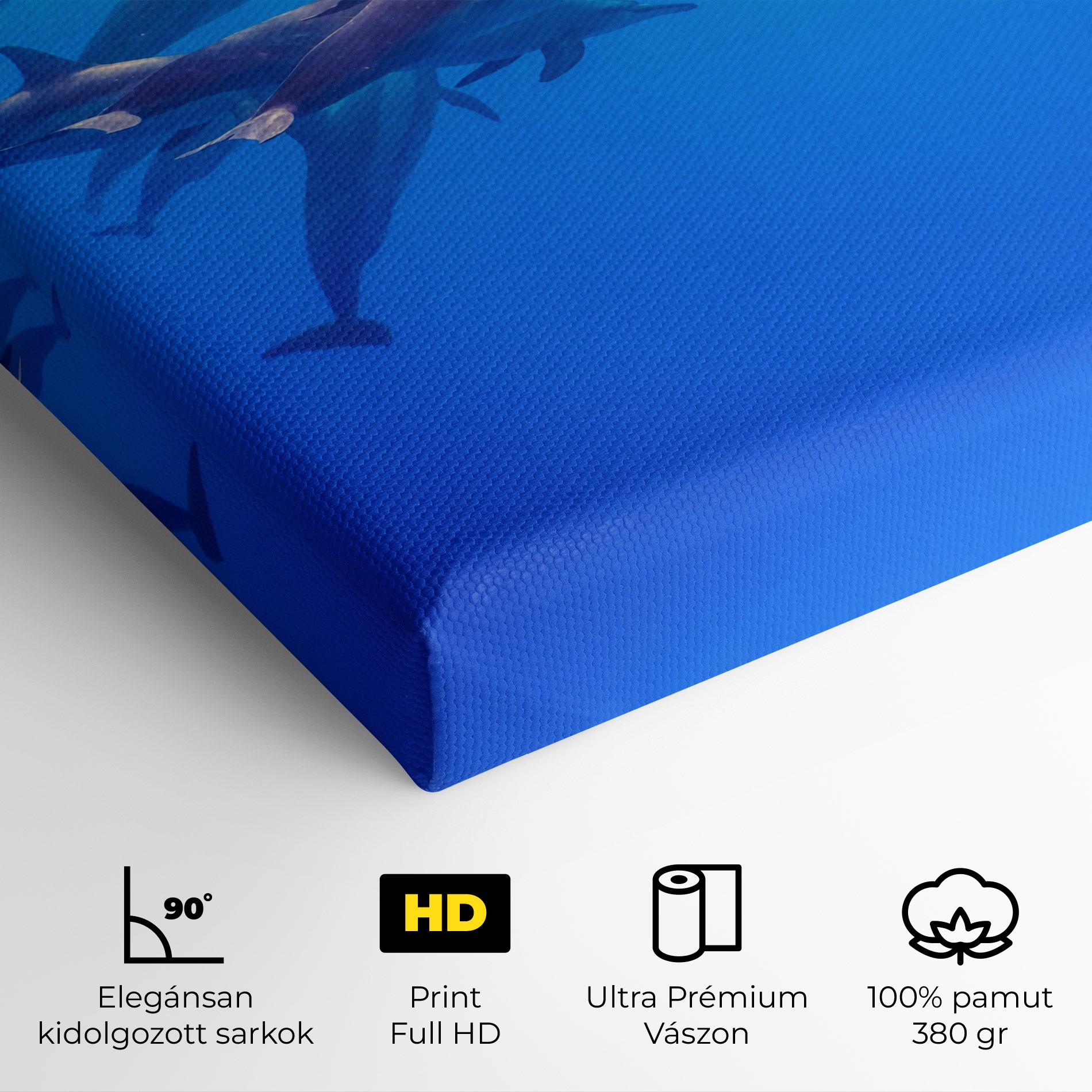 Vászonkép Dolphin Family mockup 4
