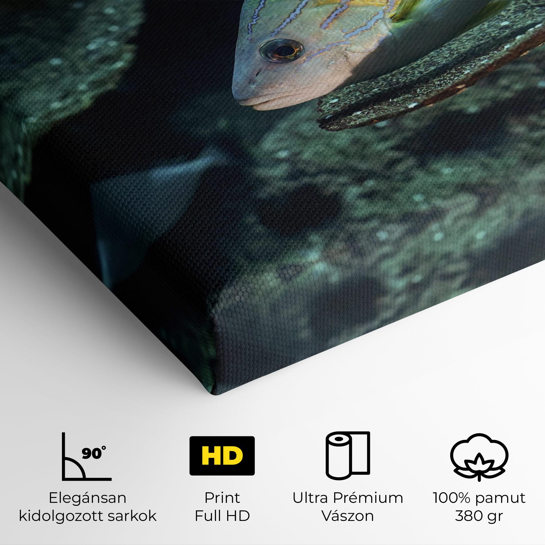 Vászonkép Green Gold Fish mockup 4