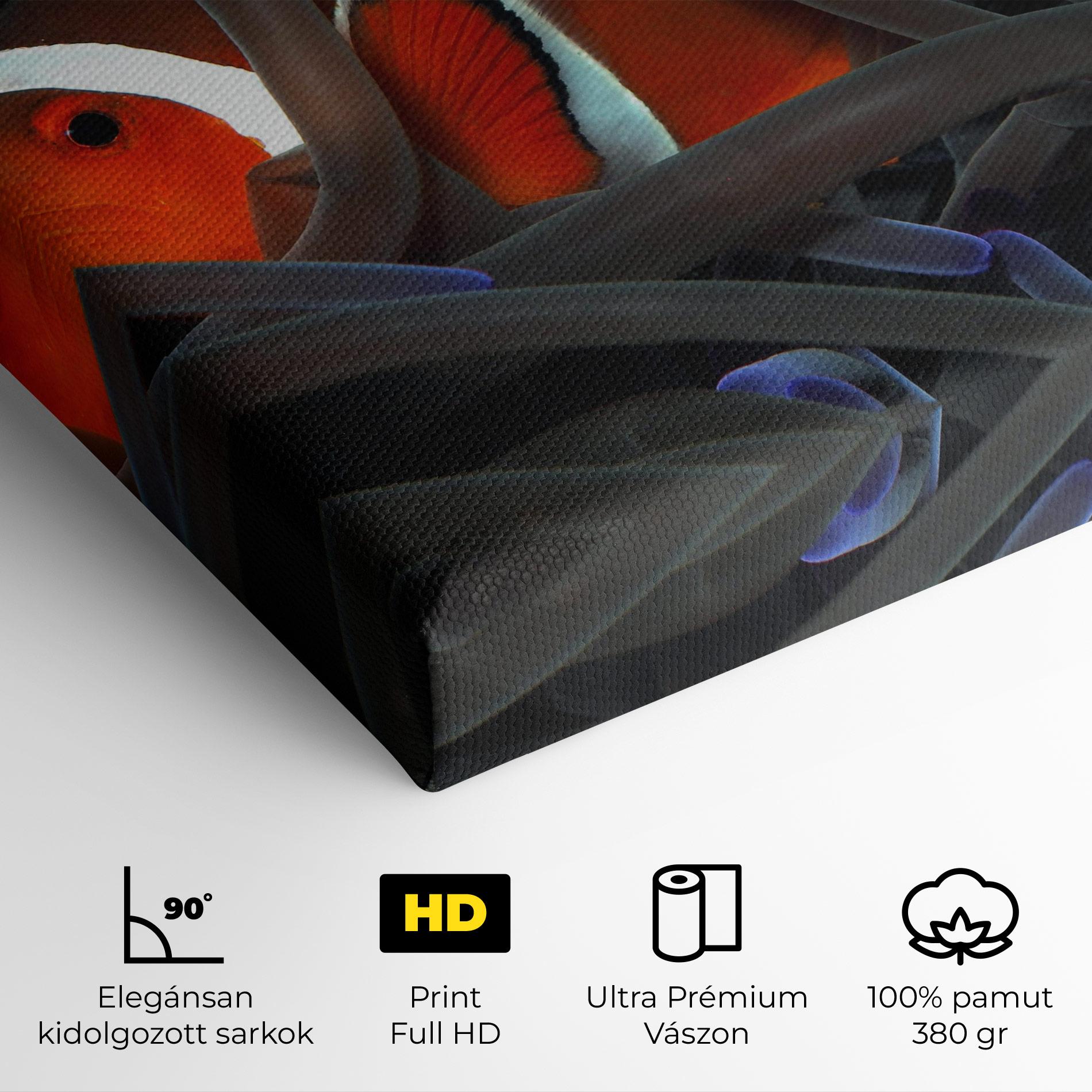 Vászonkép Nemo Hiding mockup 4