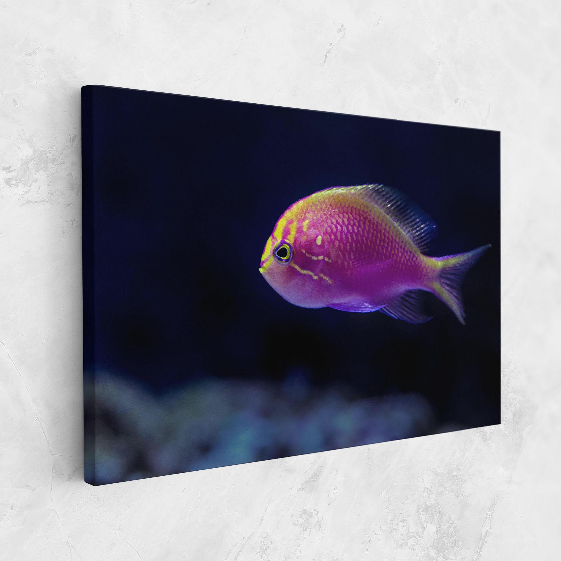 Vászonkép Angry Pink Fish mockup 1