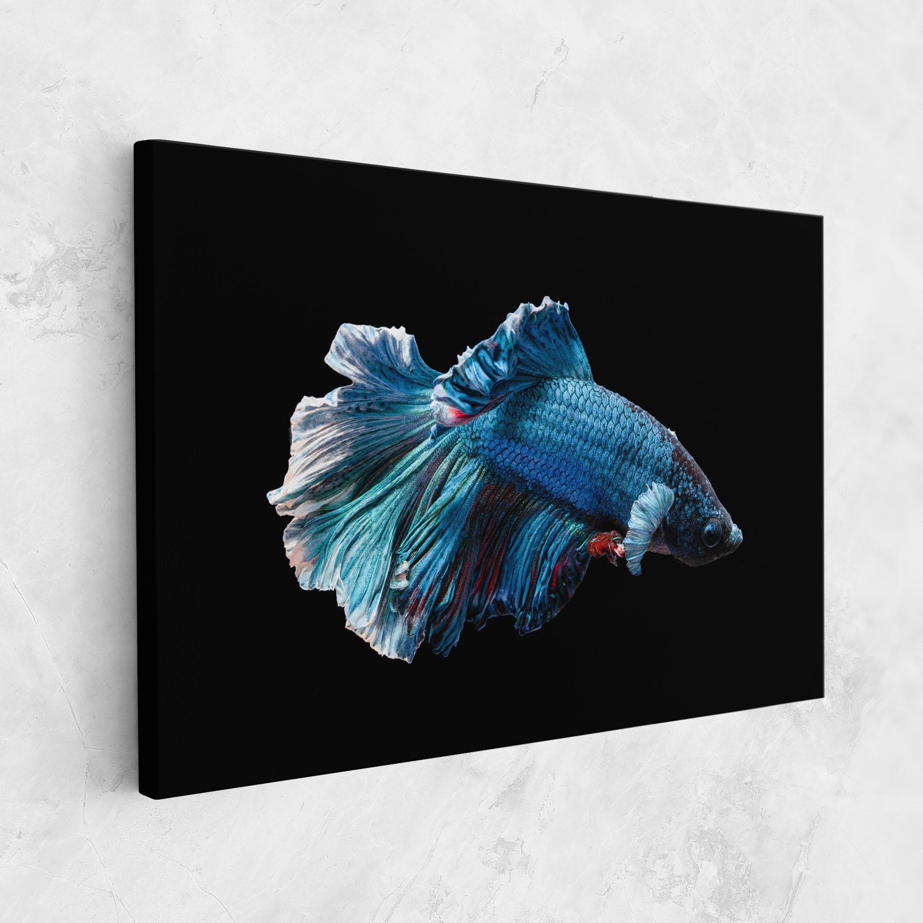 Vászonkép Blue Betta mockup 1