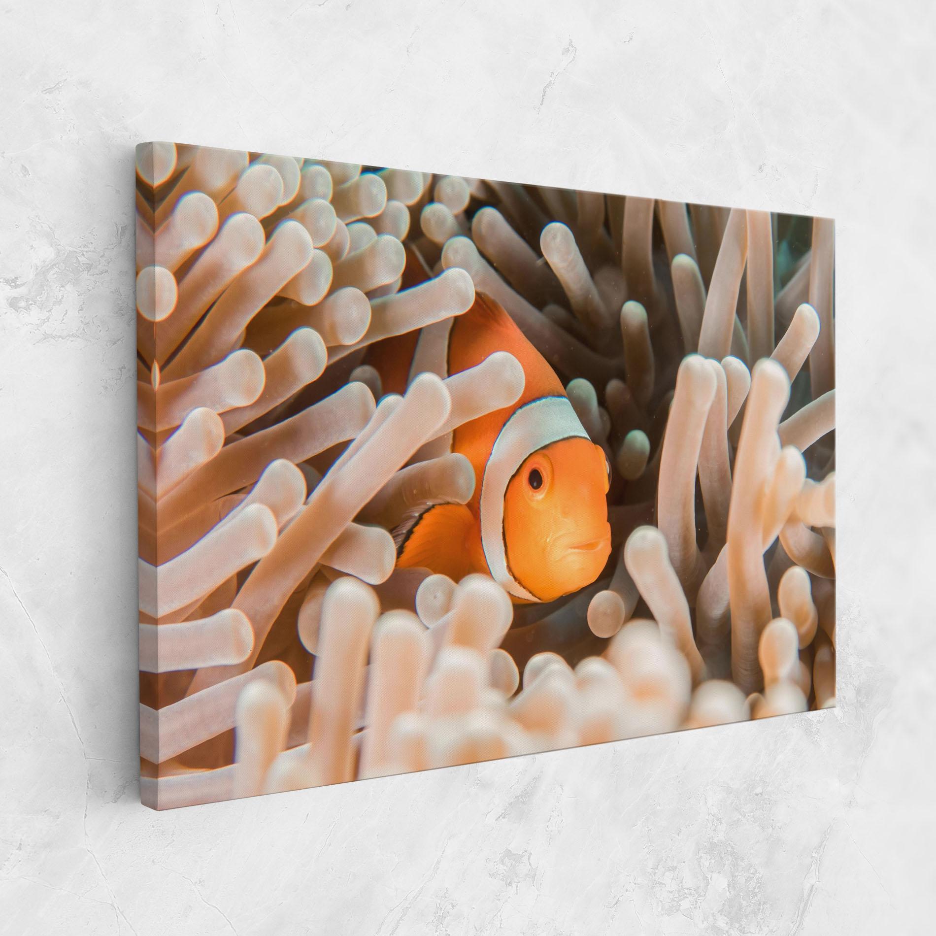 Vászonkép Cute Nemo mockup 1
