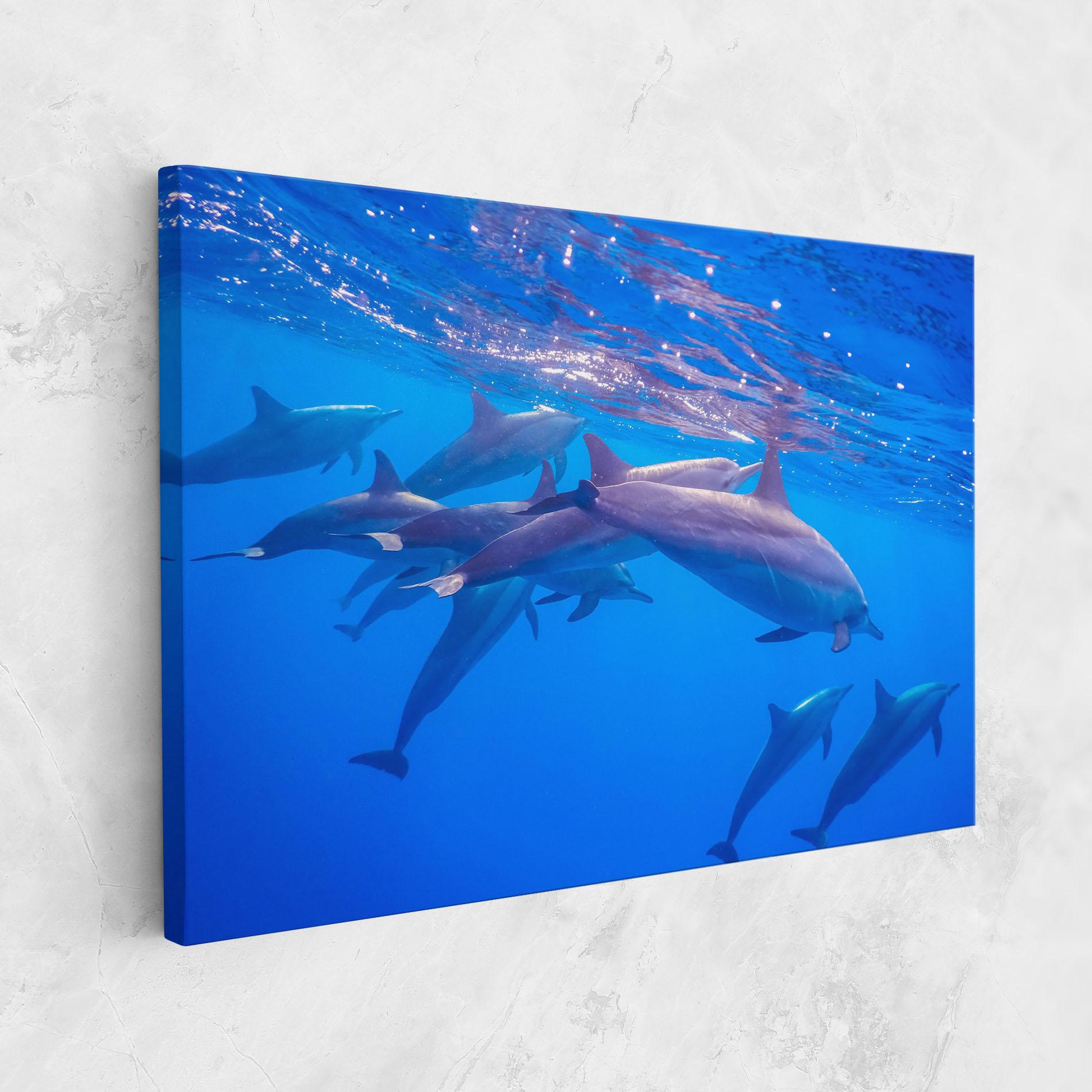 Vászonkép Dolphin Family mockup 1