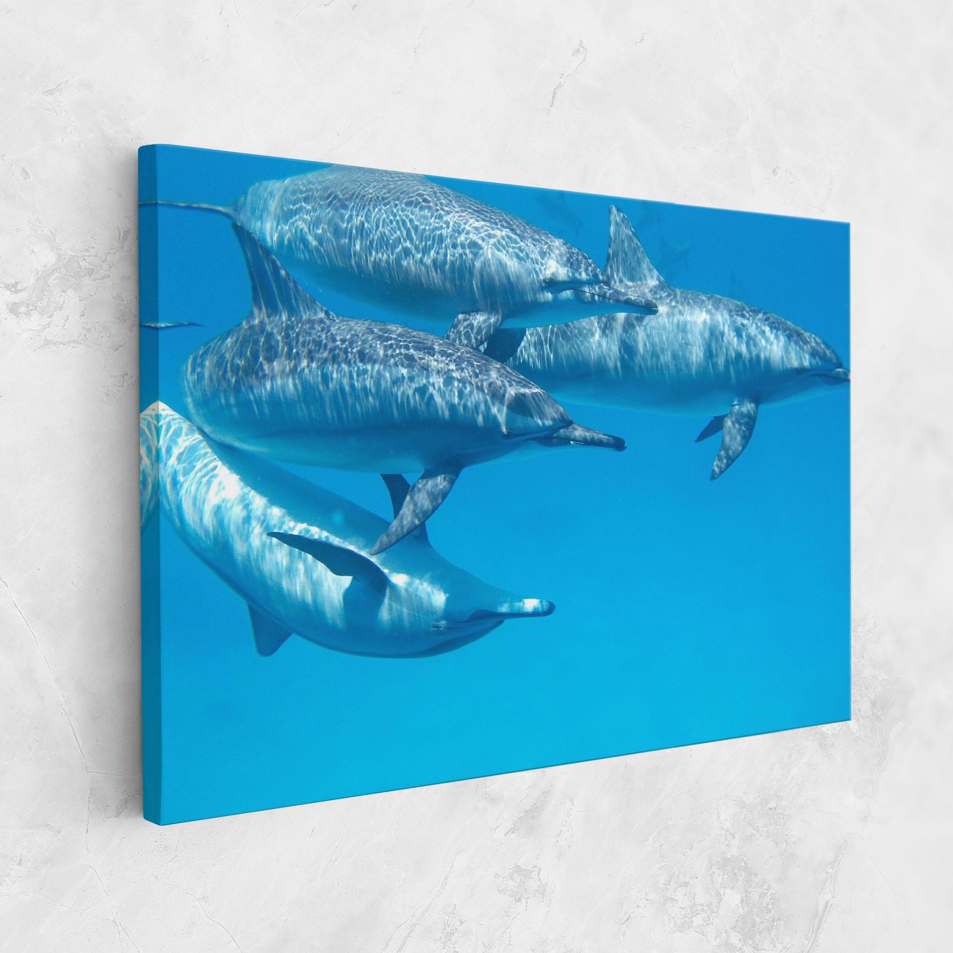 Vászonkép Family Of Dolphins mockup 1