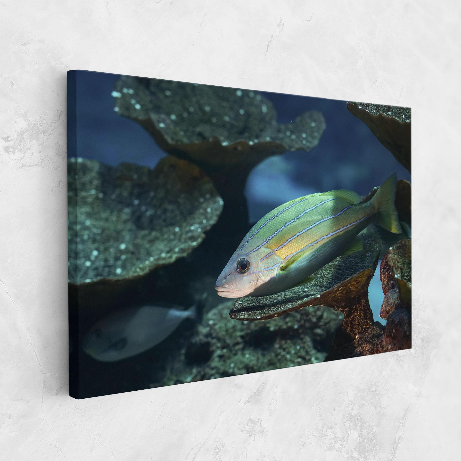 Vászonkép Green Gold Fish mockup 1