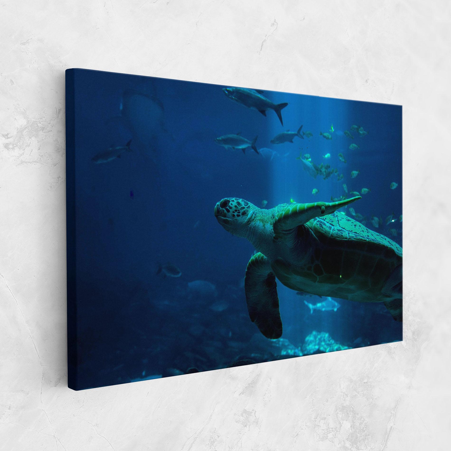 Vászonkép Green Turtule mockup 1