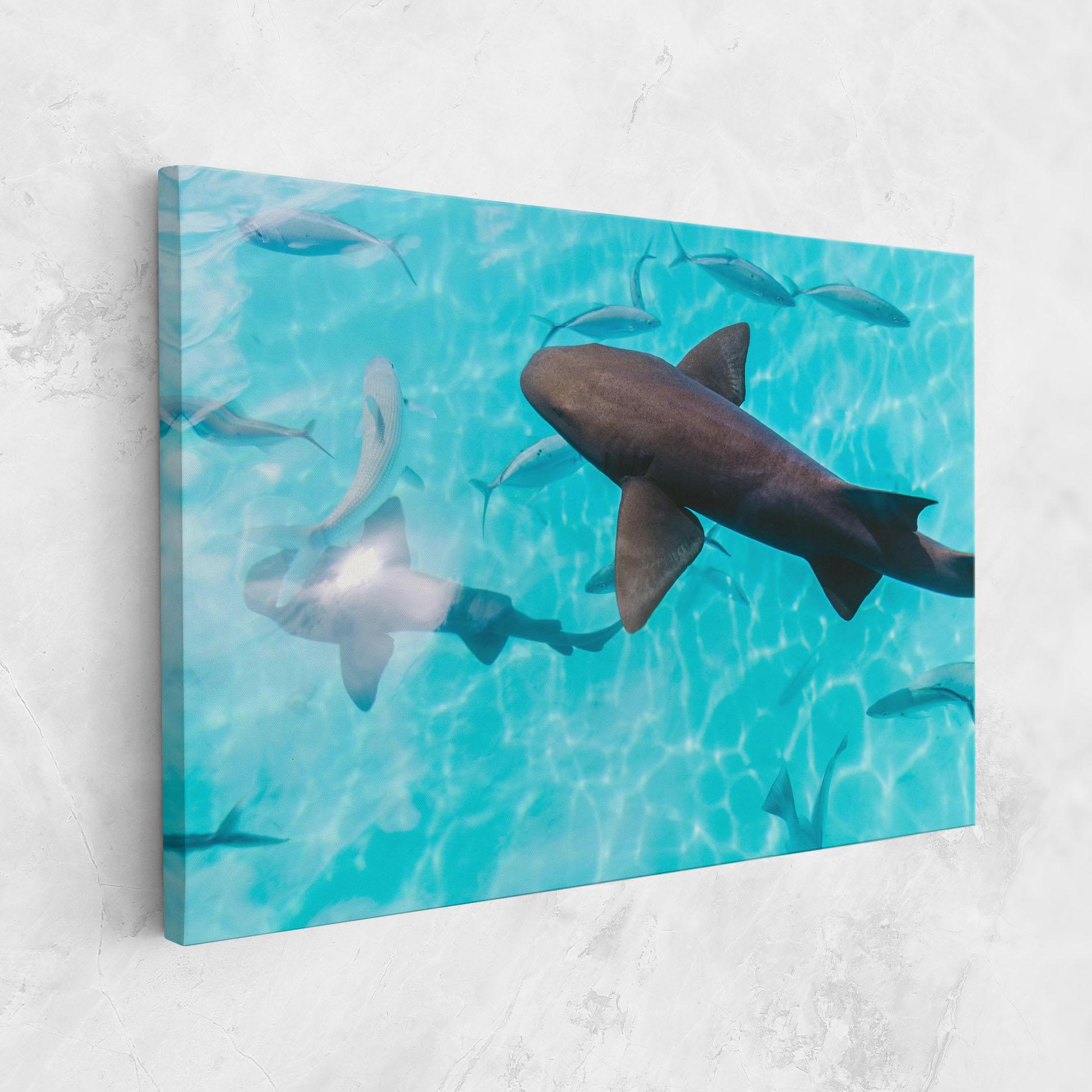 Vászonkép Pretty Shark mockup 1