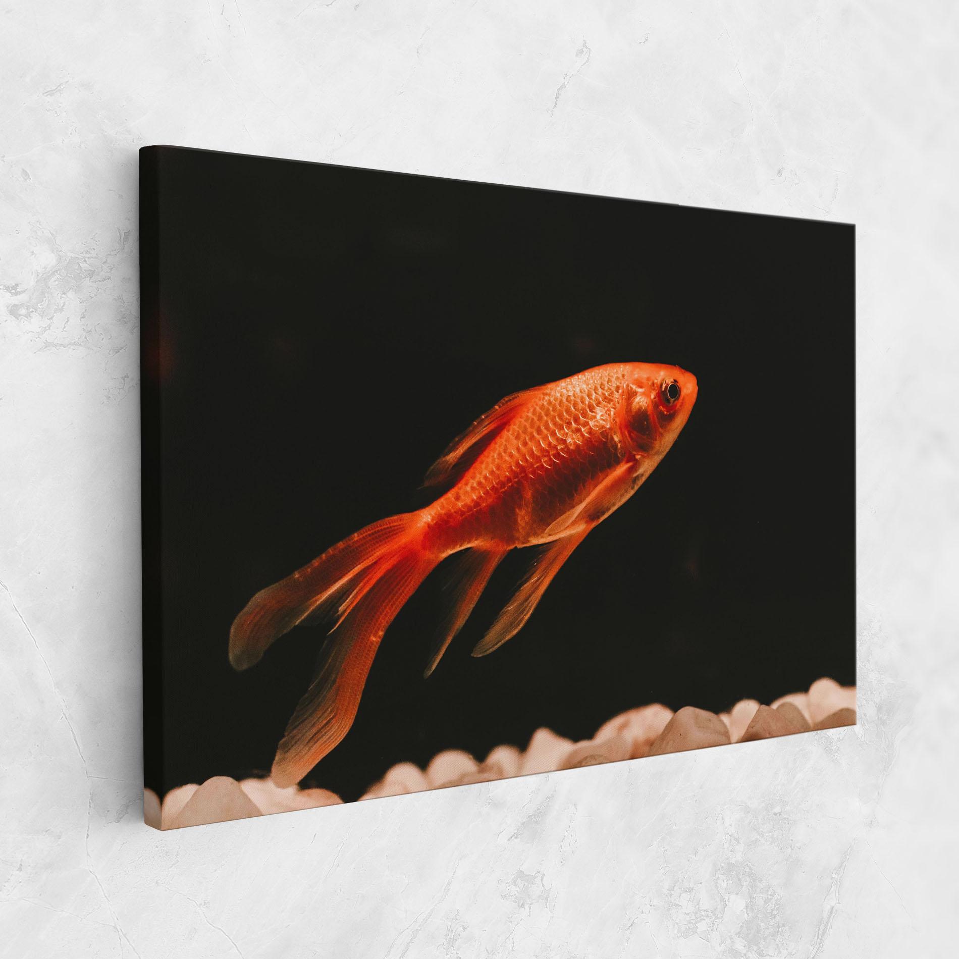 Vászonkép Small Orange Fish mockup 1