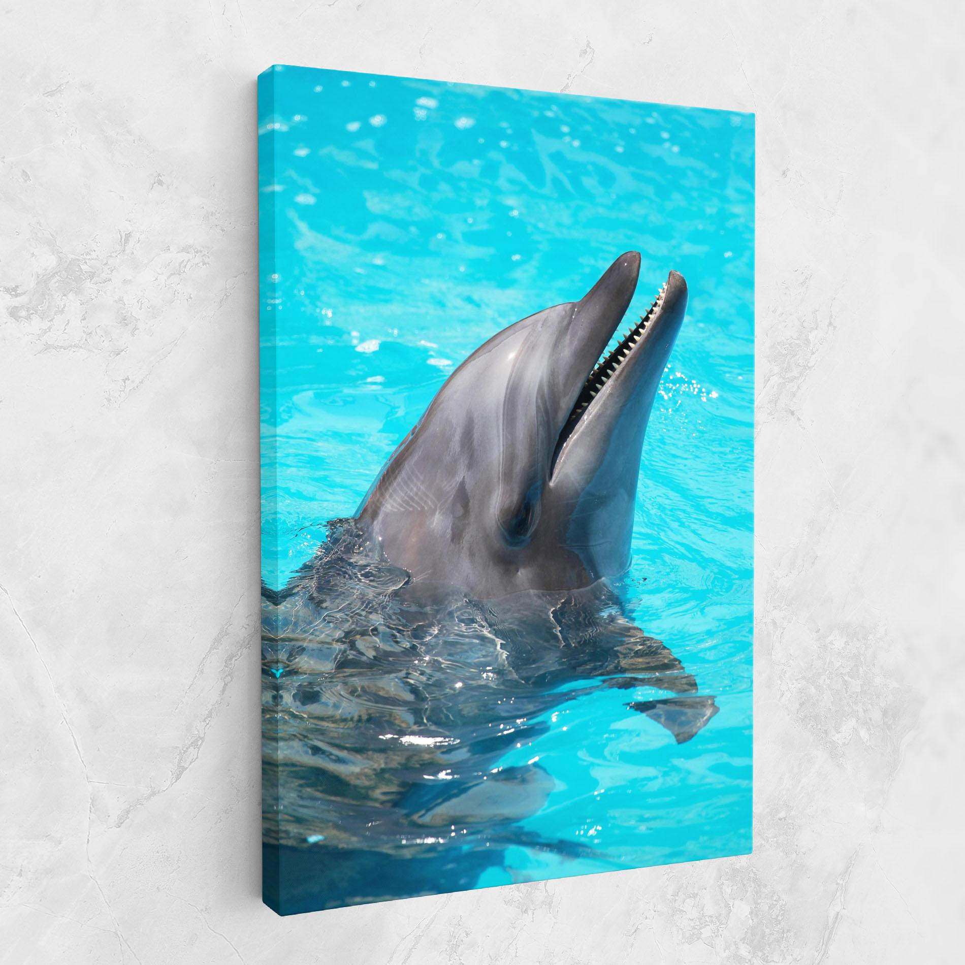 Vászonkép Trained Dolphin mockup 1
