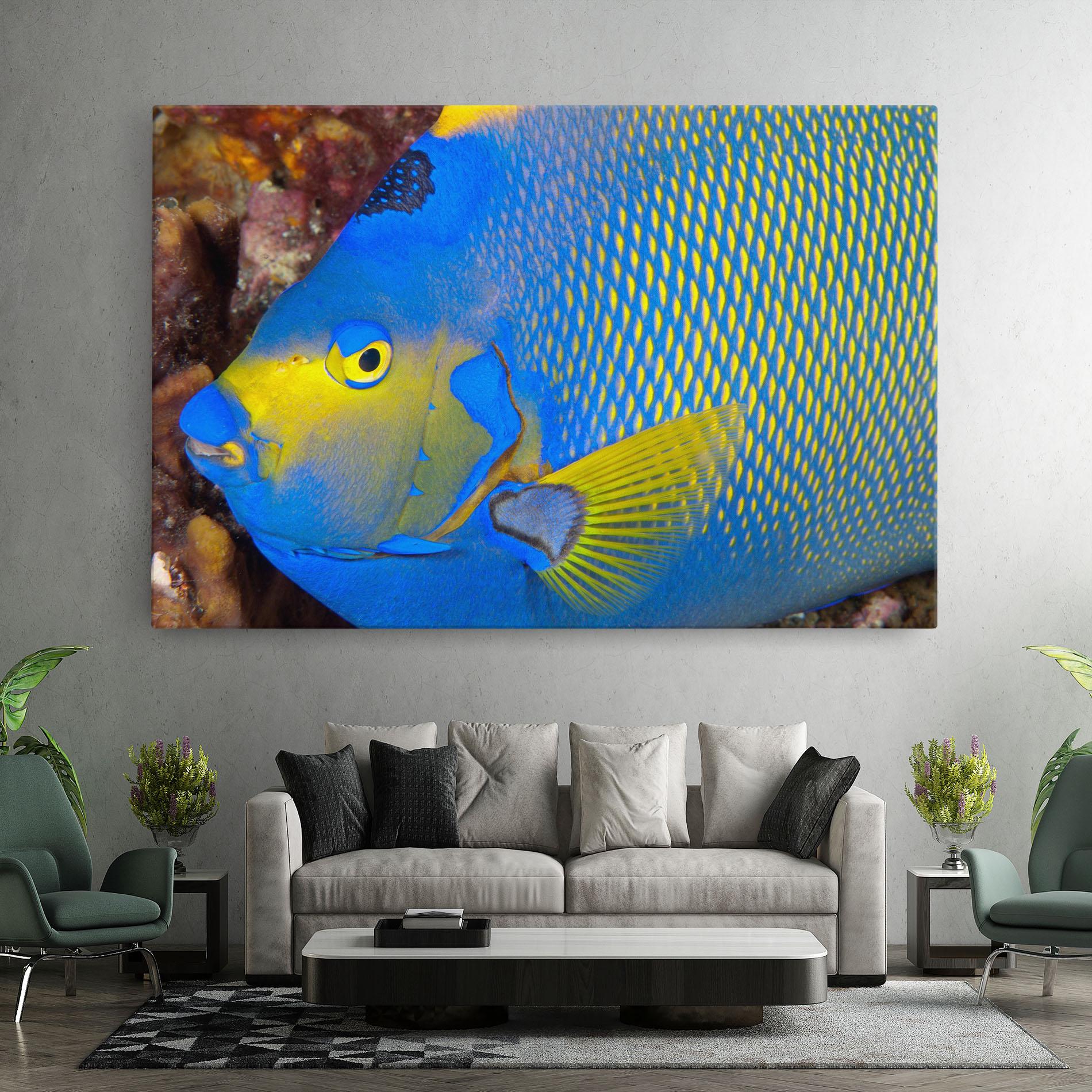 Vászonkép Blue Yellow Fish mockup 7