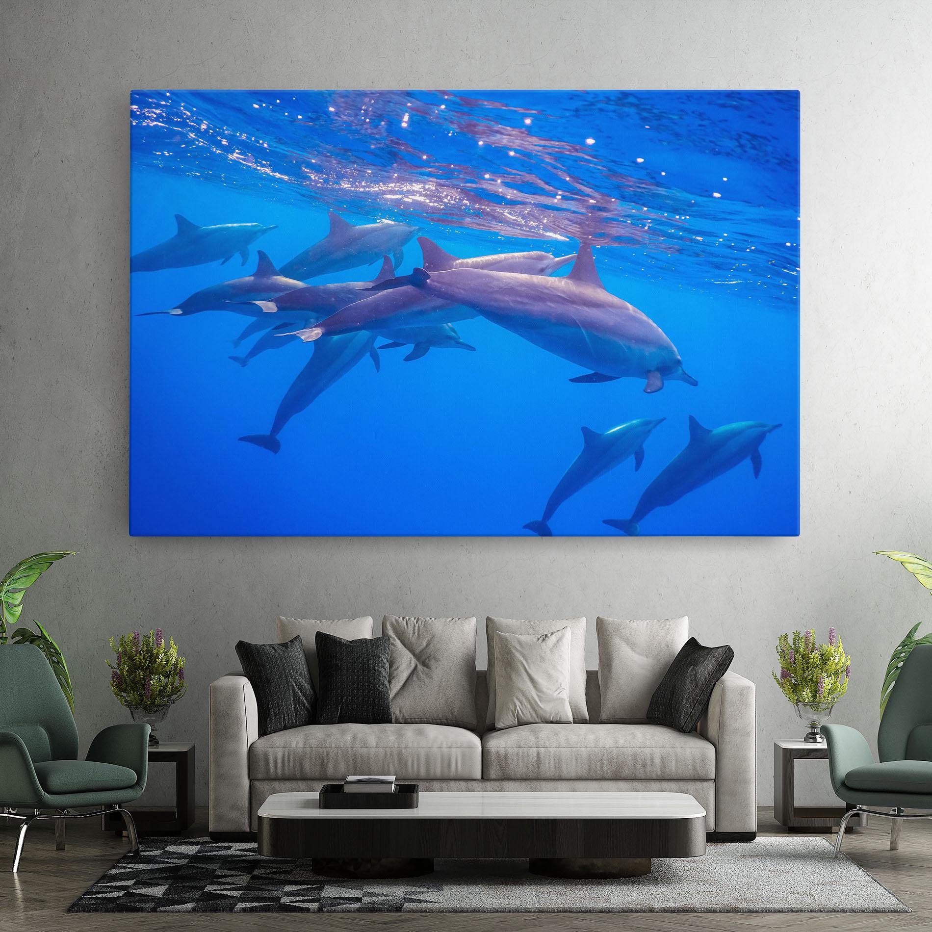 Vászonkép Dolphin Family mockup 7