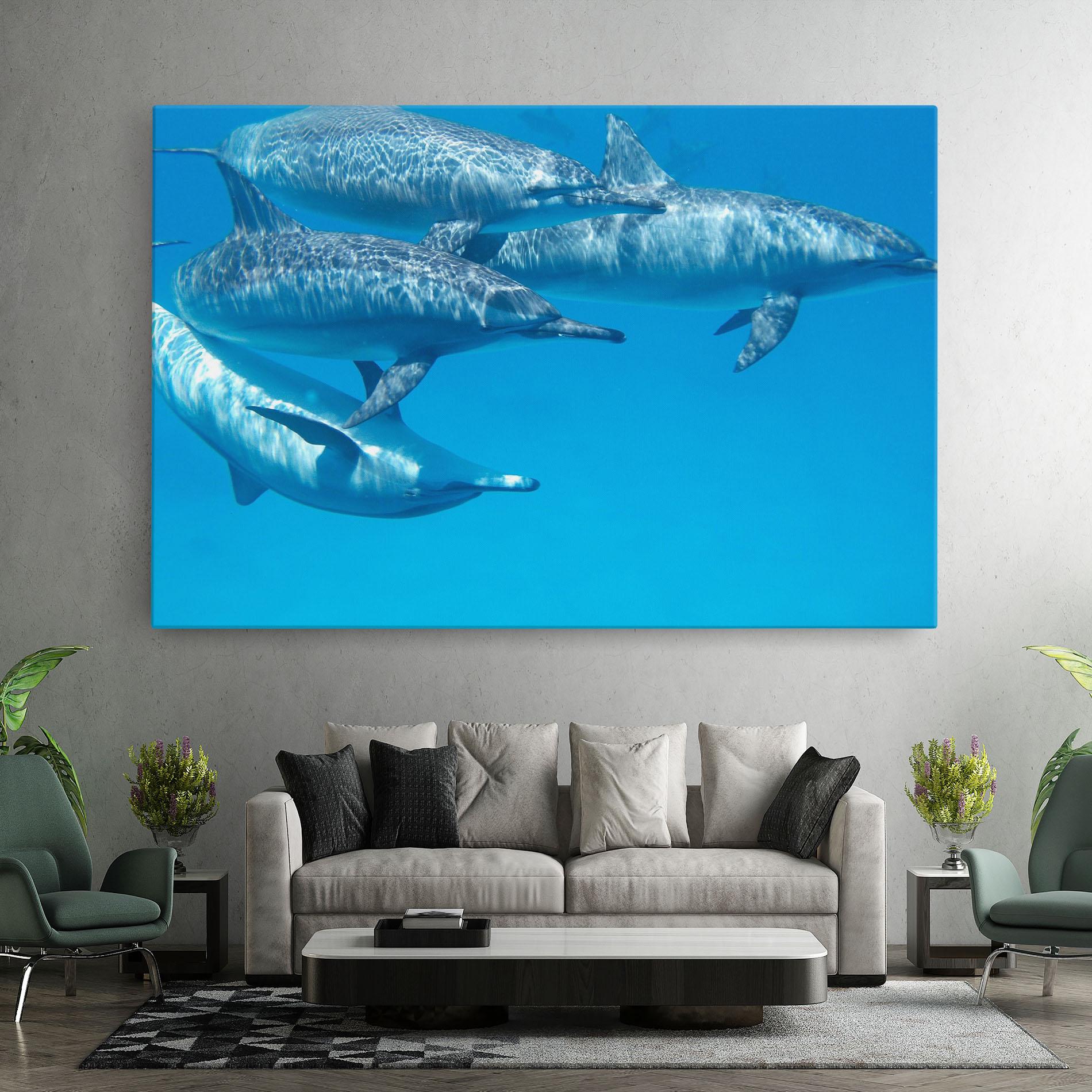 Vászonkép Family Of Dolphins mockup 7