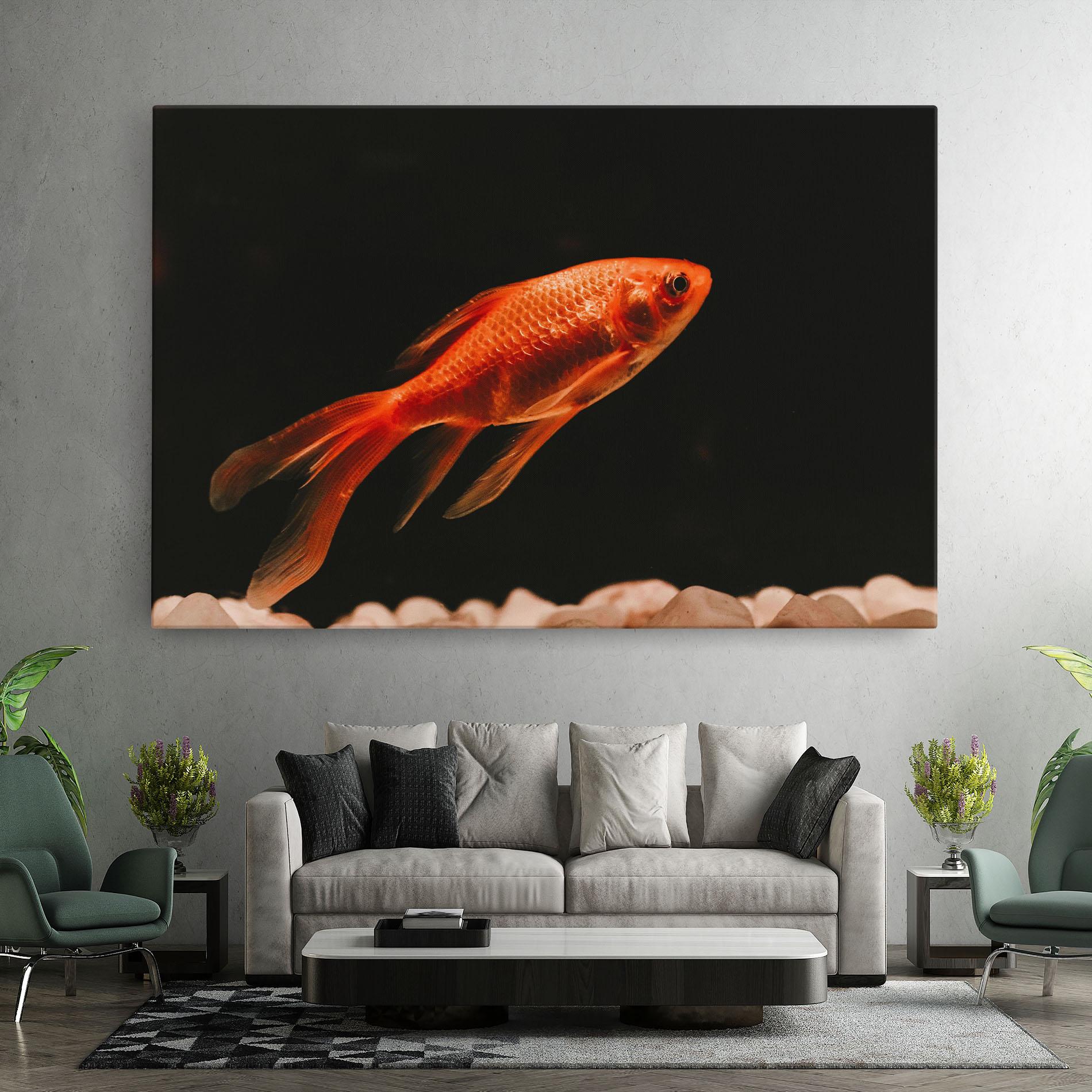 Vászonkép Small Orange Fish mockup 7