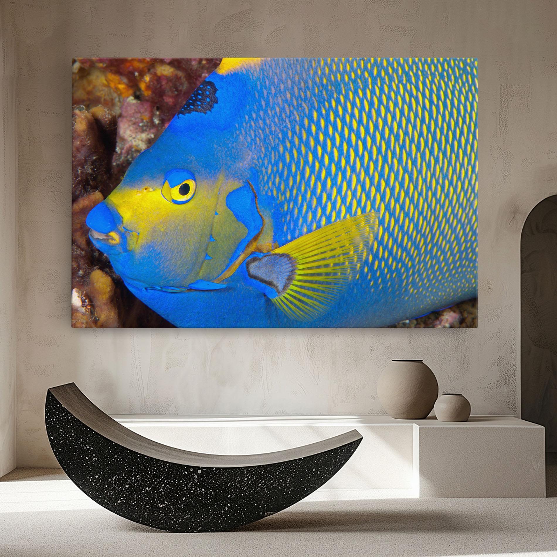Vászonkép Blue Yellow Fish mockup 8