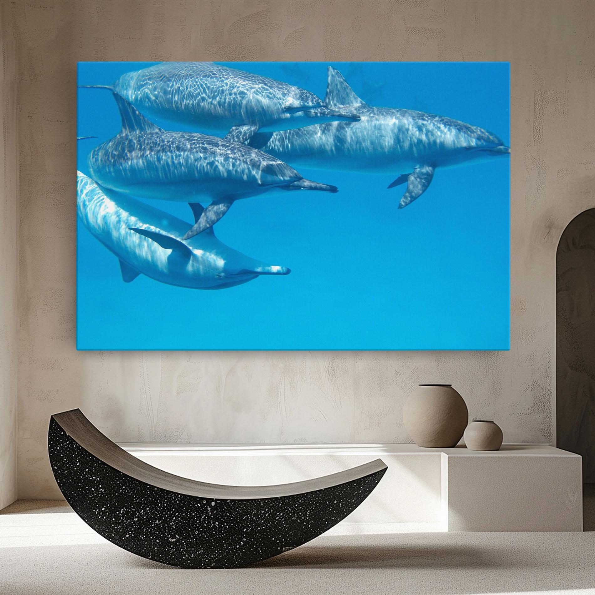 Vászonkép Family Of Dolphins mockup 8