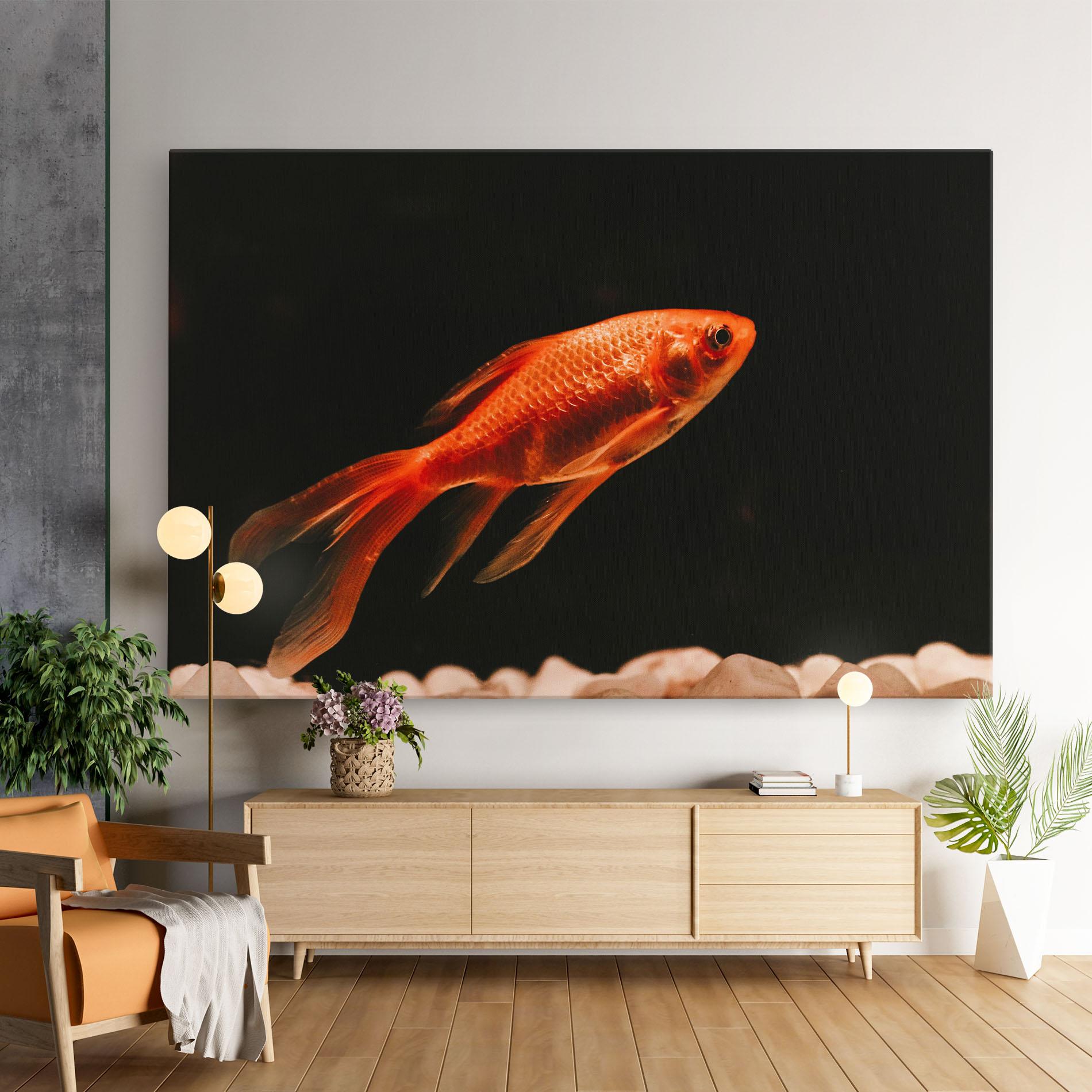 Vászonkép Small Orange Fish mockup 9