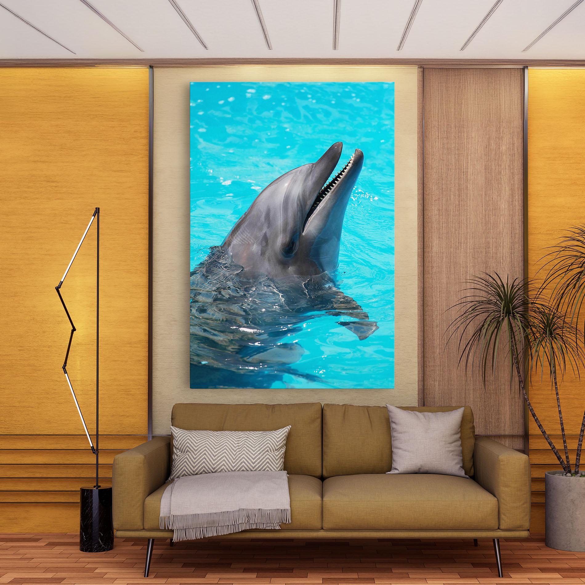 Vászonkép Trained Dolphin mockup 9