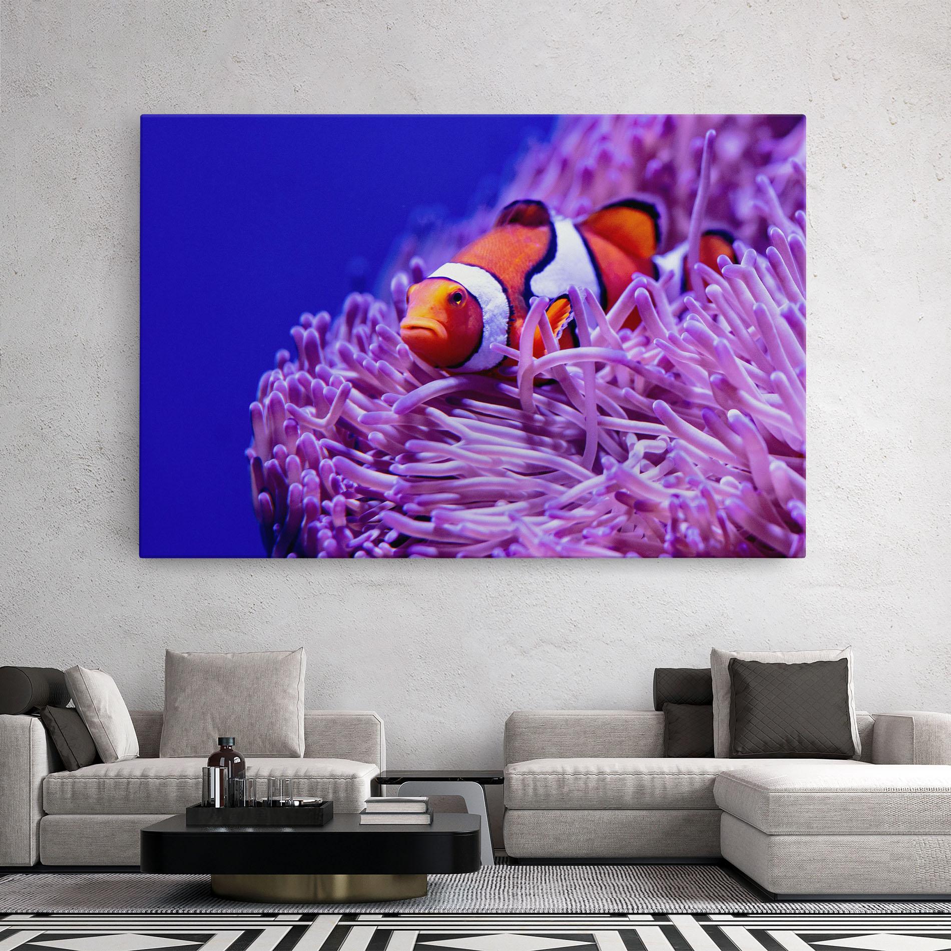 Vászonkép Angry Nemo mockup 2