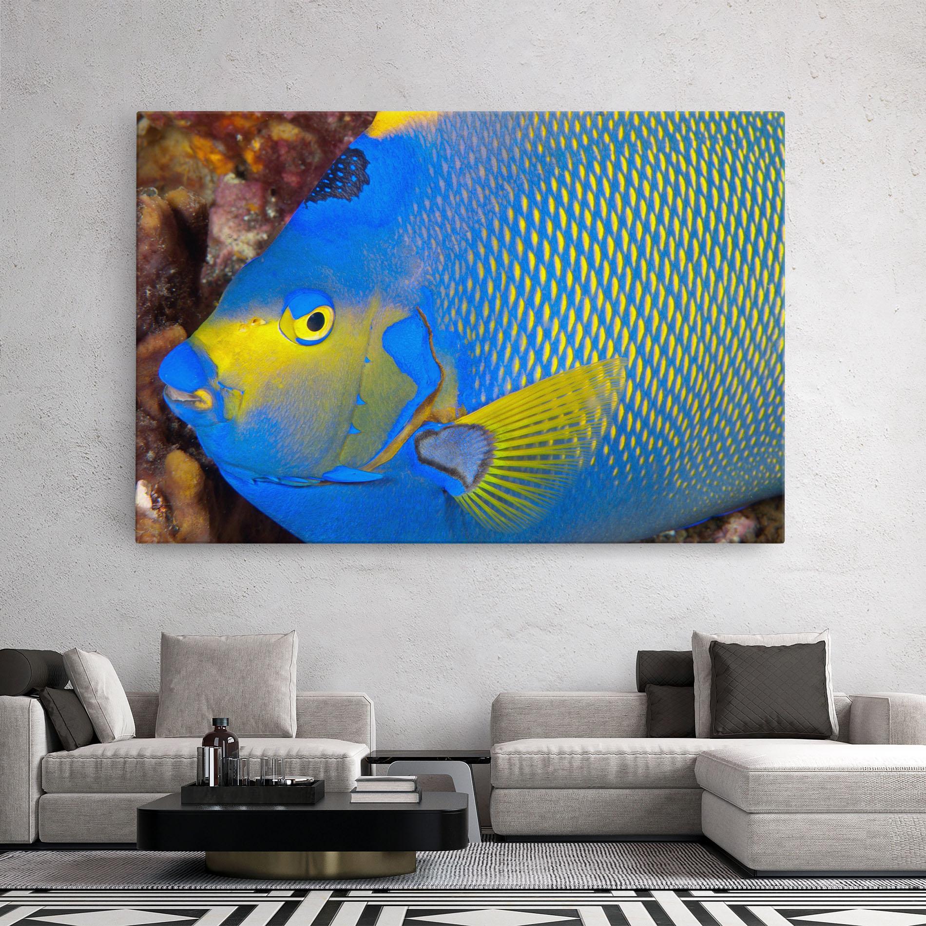 Vászonkép Blue Yellow Fish mockup 2