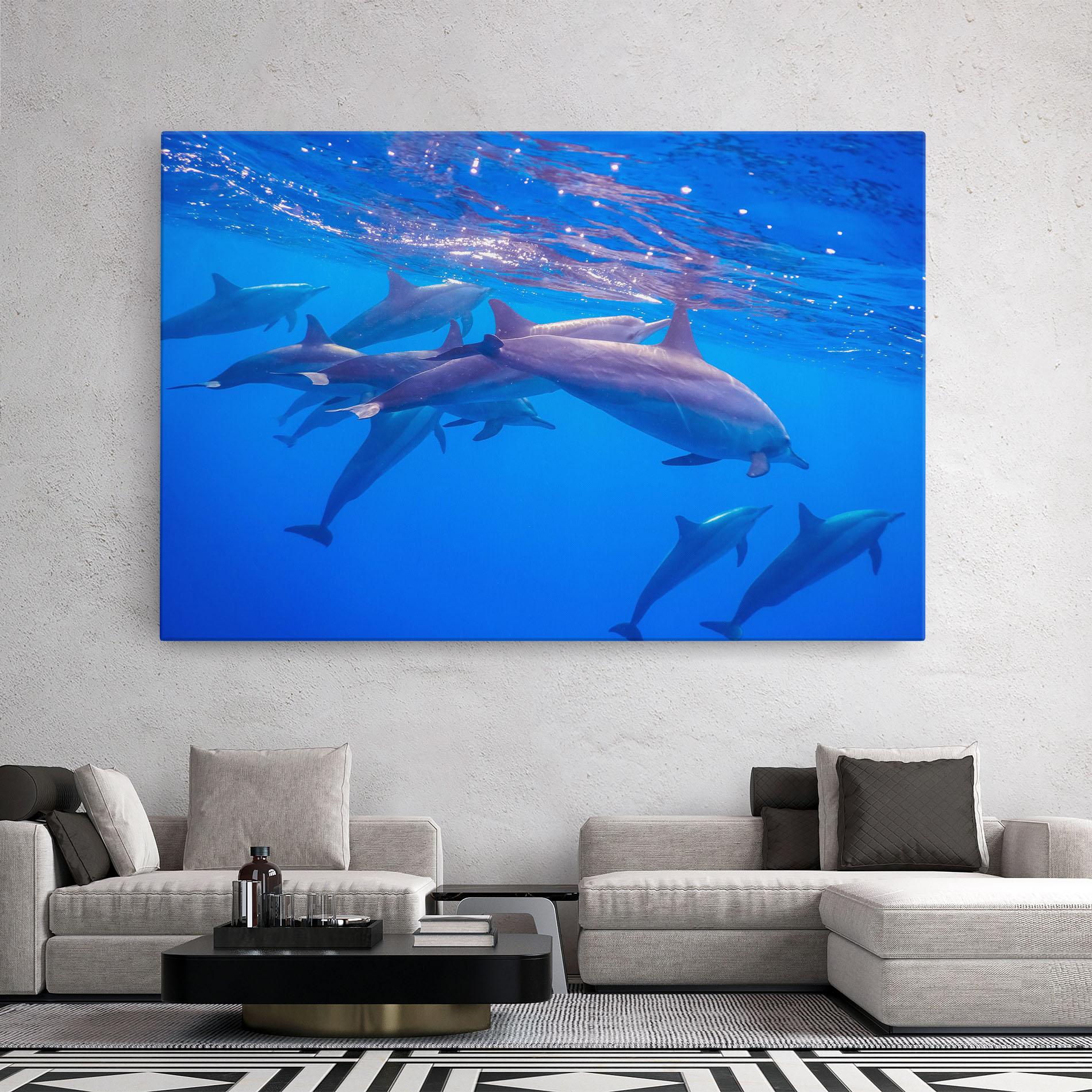 Vászonkép Dolphin Family mockup 2
