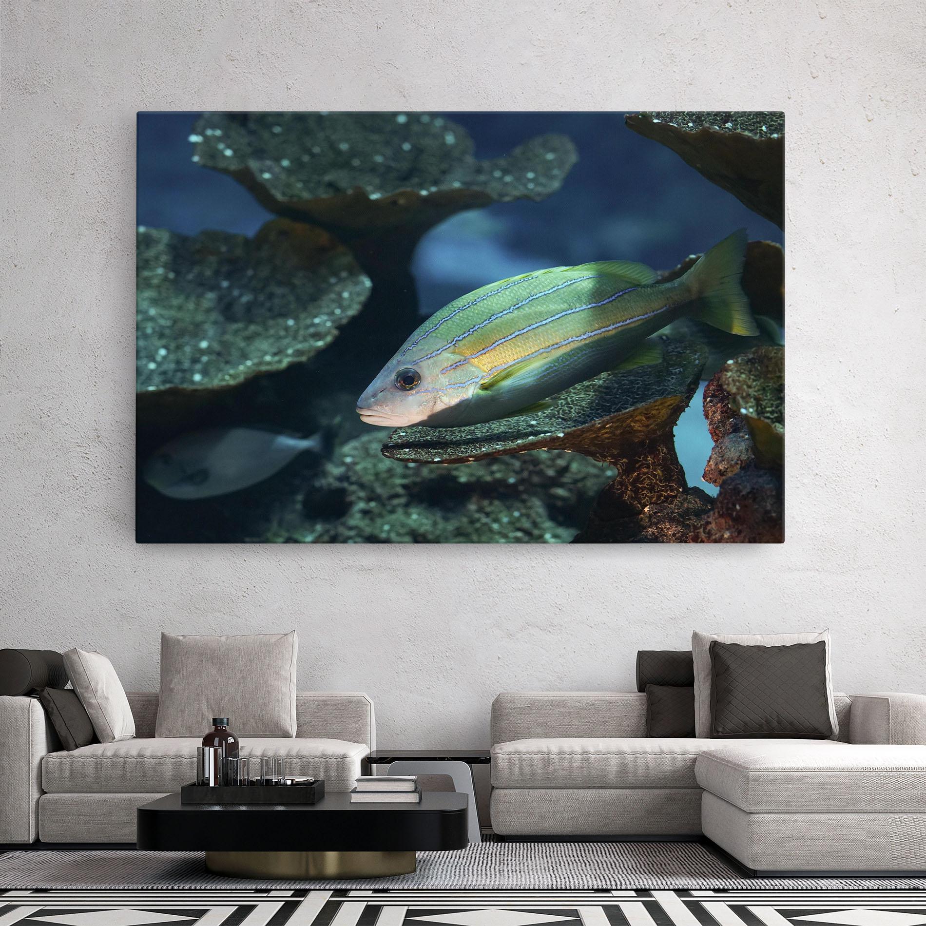 Vászonkép Green Gold Fish mockup 2