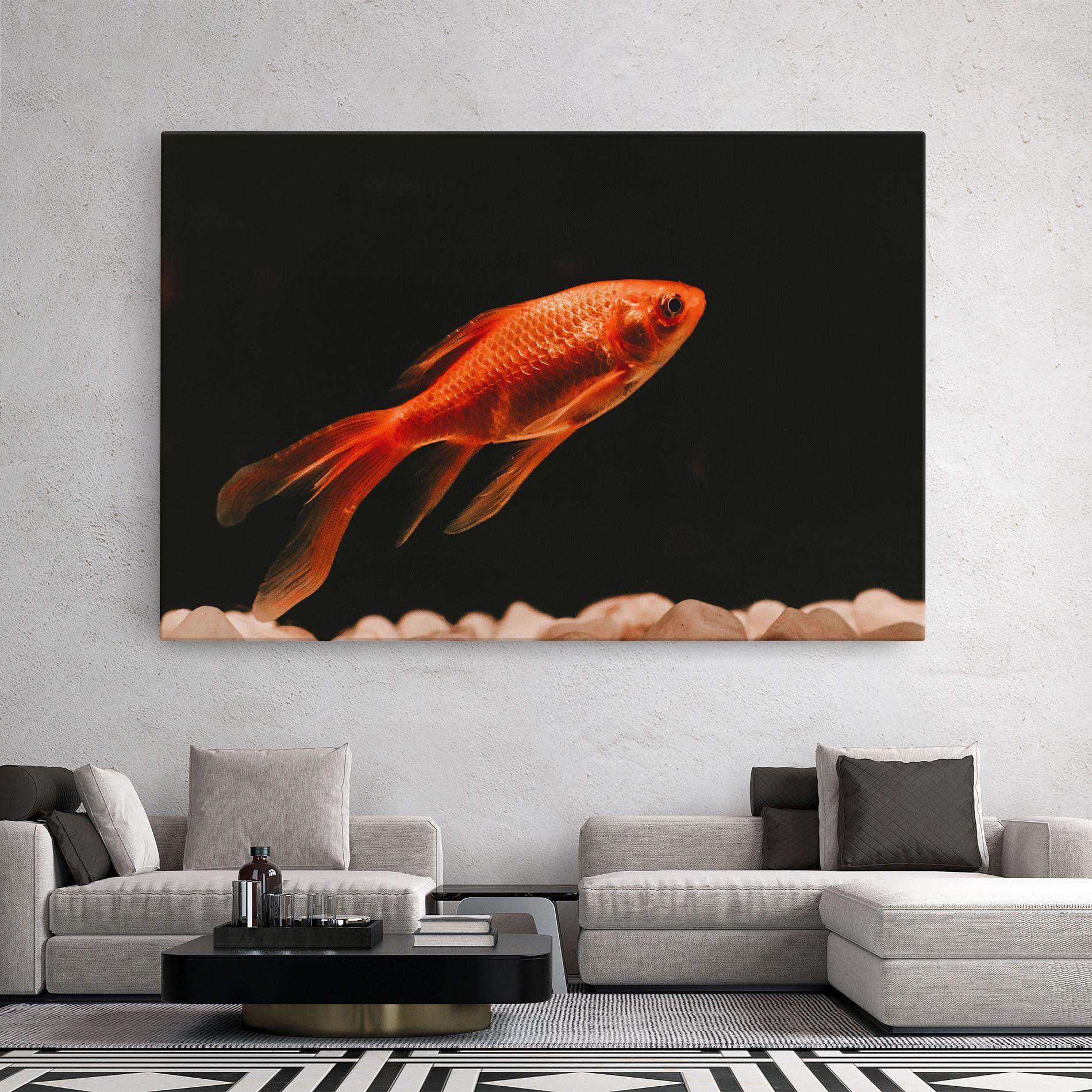 Vászonkép Small Orange Fish mockup 2