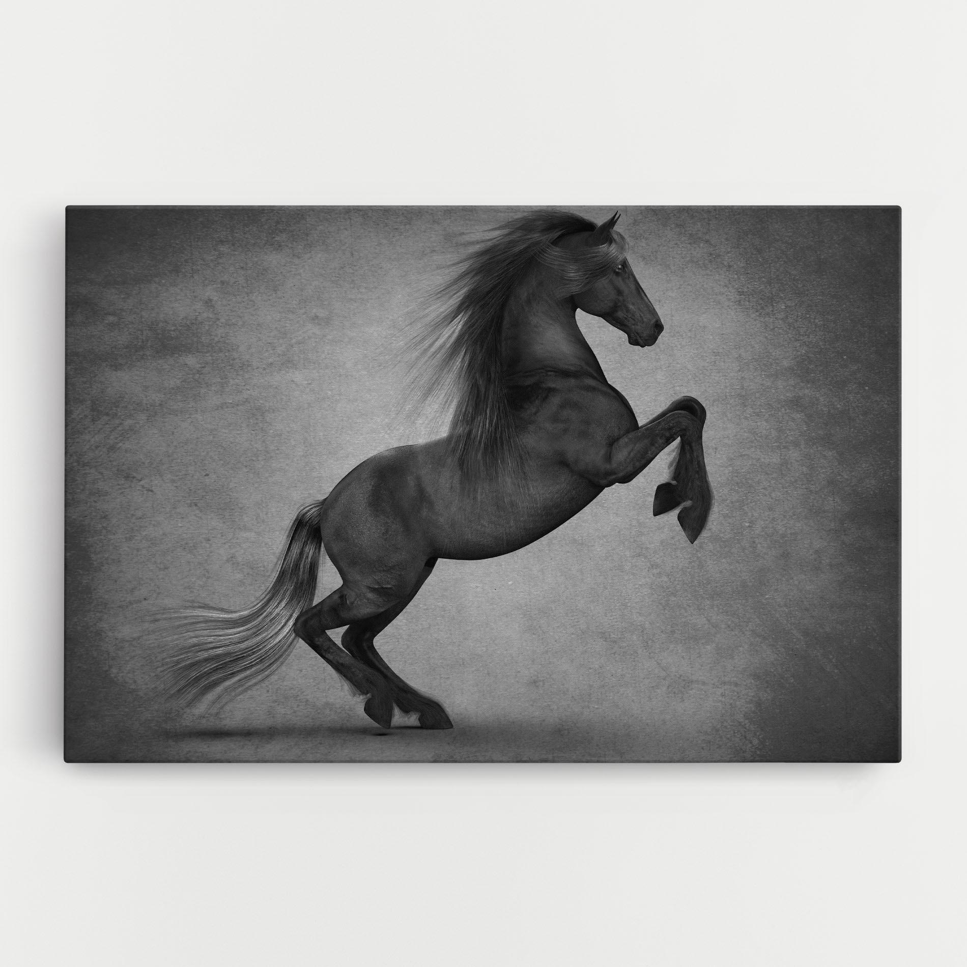 Vászonkép Black Horse Jumping mockup 0