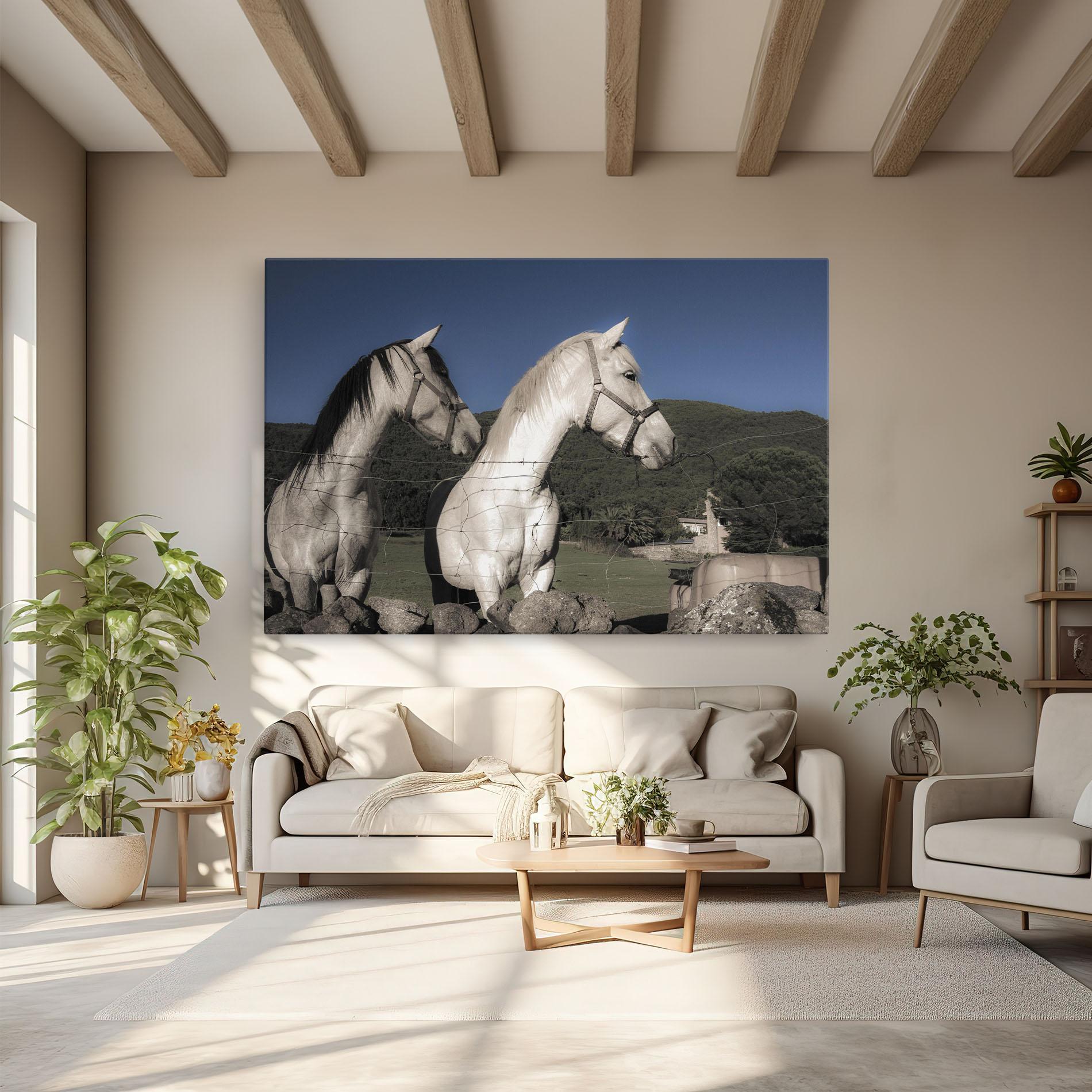 Vászonkép White Grey Horse mockup 6