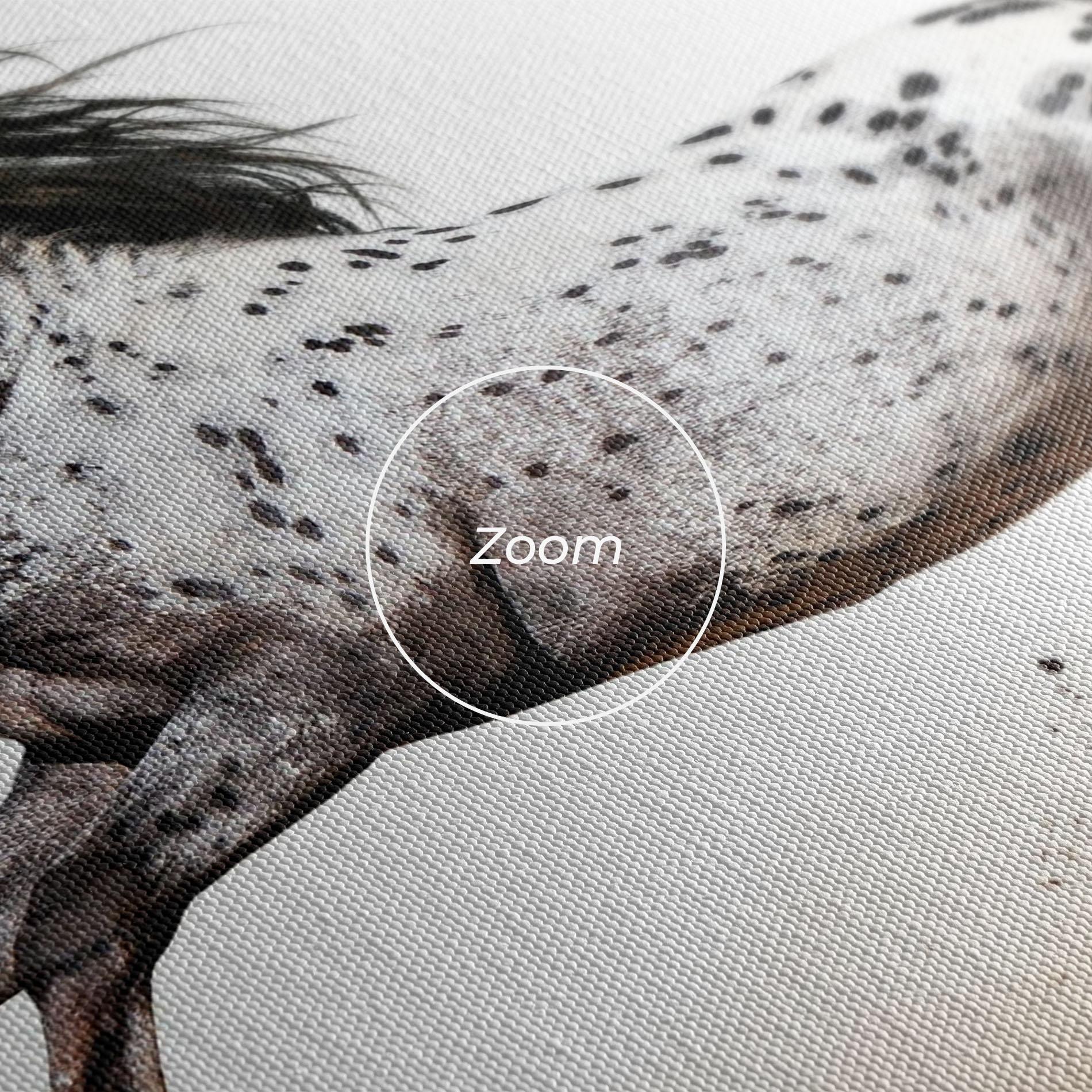 Vászonkép Appaloosa Horse Running mockup 3