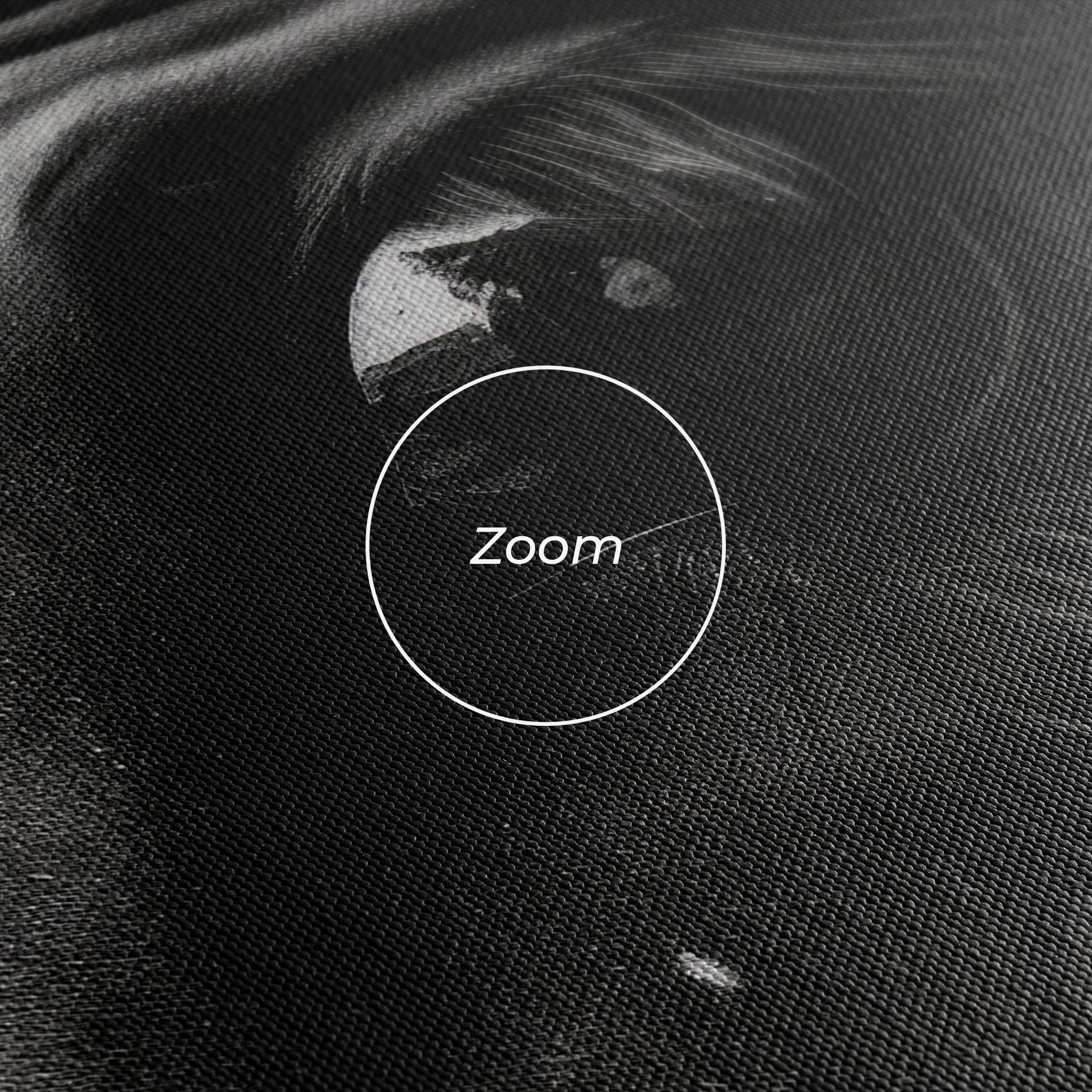 Vászonkép Black Horse Eye mockup 3