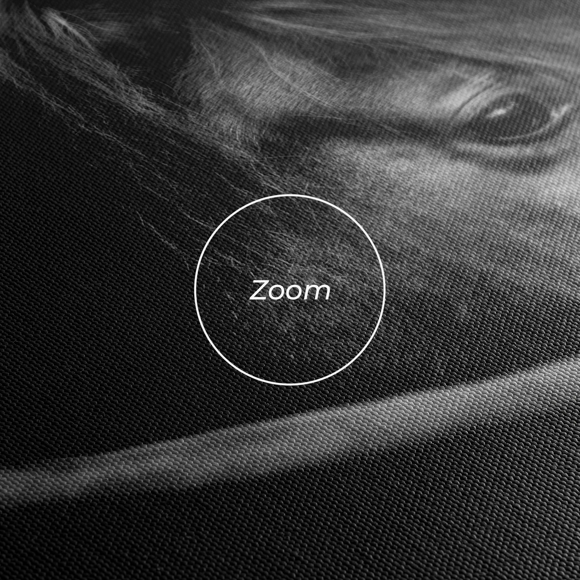 Black Horse Looking mockup 3