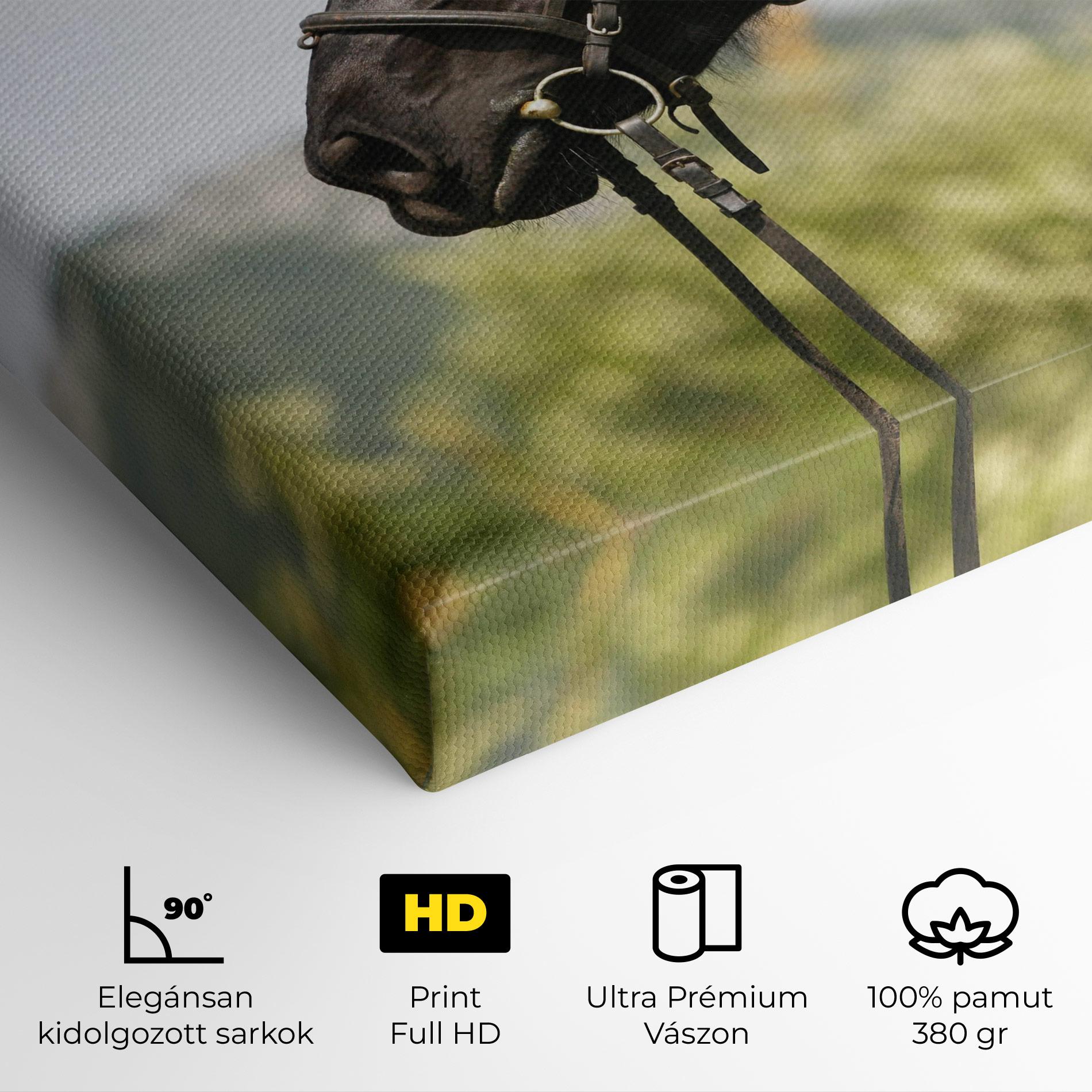 Vászonkép Big Ear Horse mockup 4