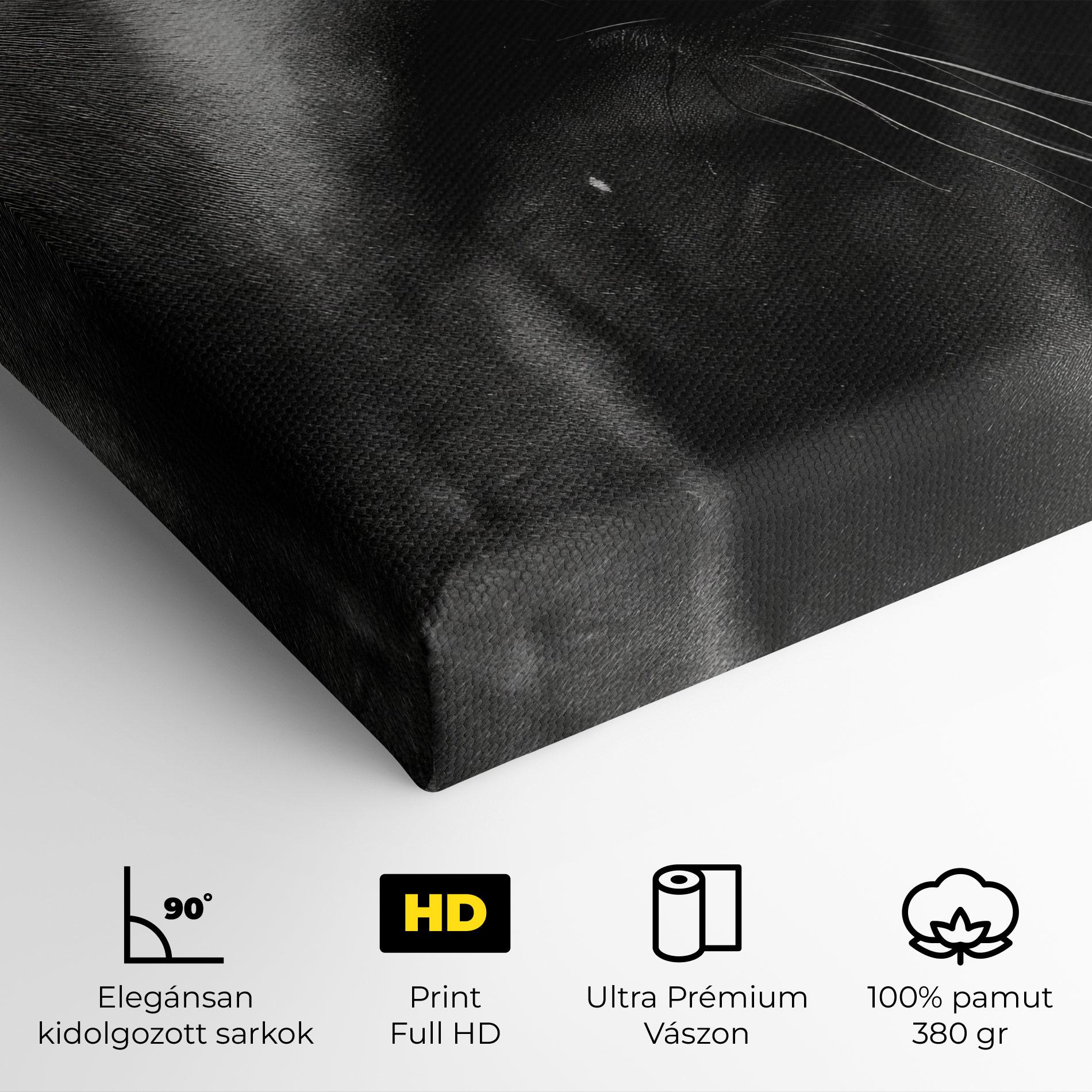 Vászonkép Black Horse Eye mockup 4