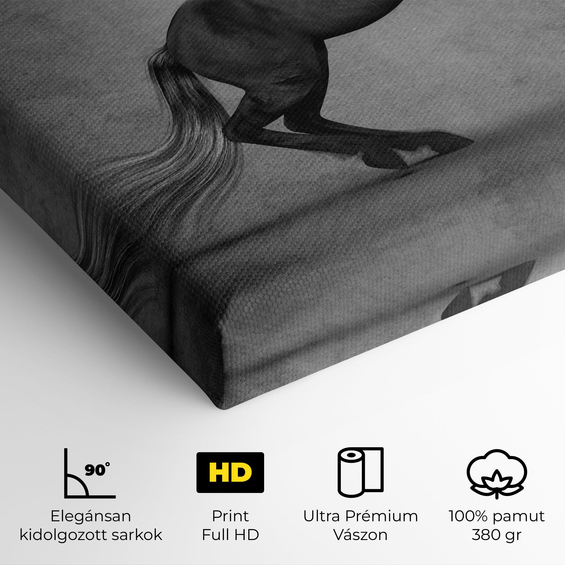 Vászonkép Black Horse Jumping mockup 4