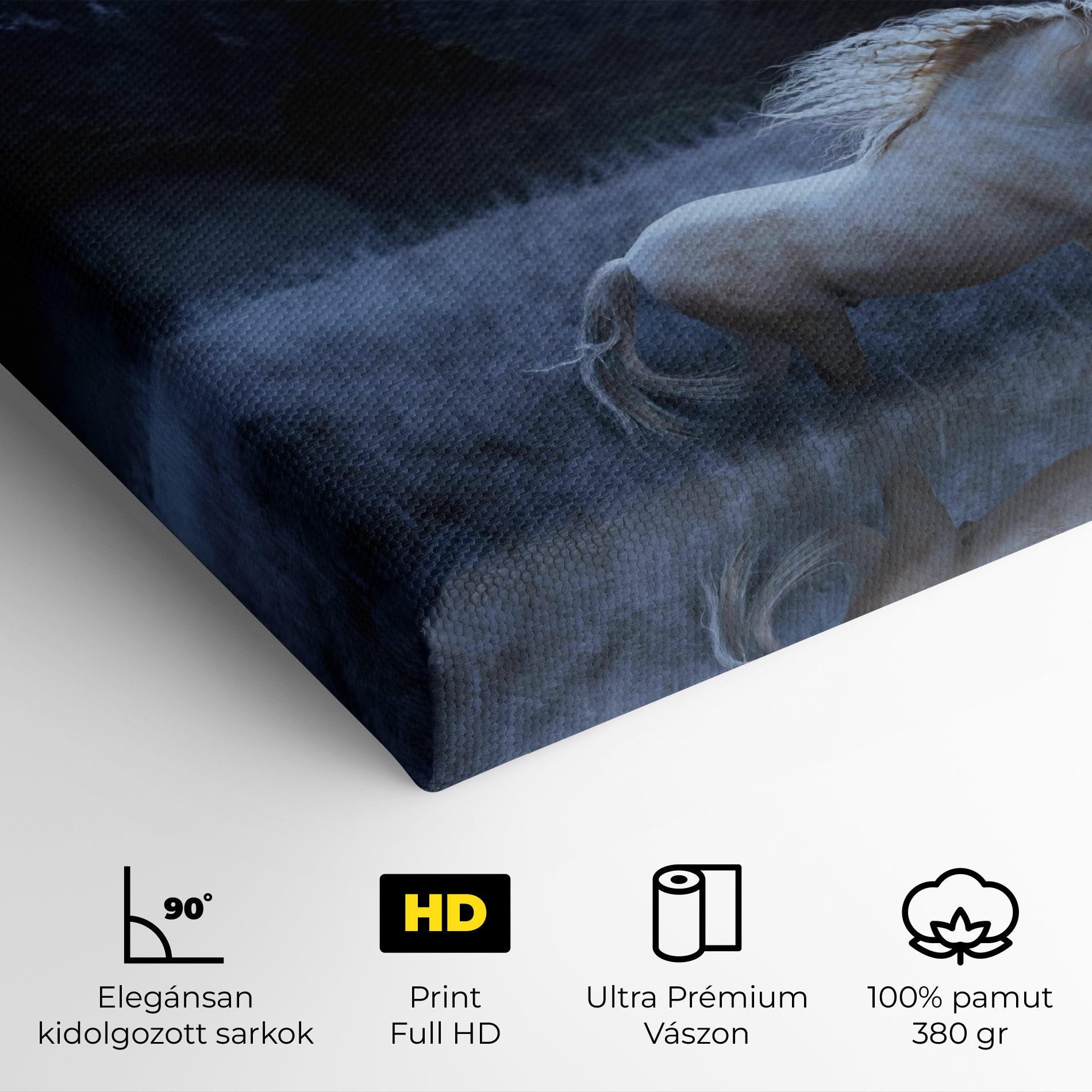 Vászonkép Blue Moon Unicorn mockup 4